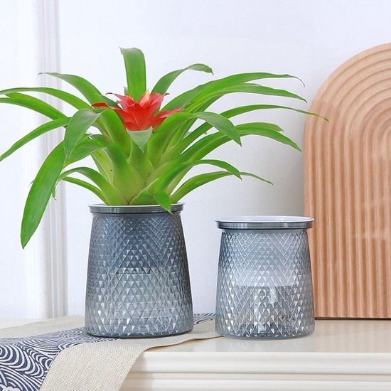Flower pots - Plastic flower pots - sustainable garden supplies - hydroponic flower pots - visible water level - With absorbent cotton rope - Ø 10 x H 12 cm - Gray - Image 3