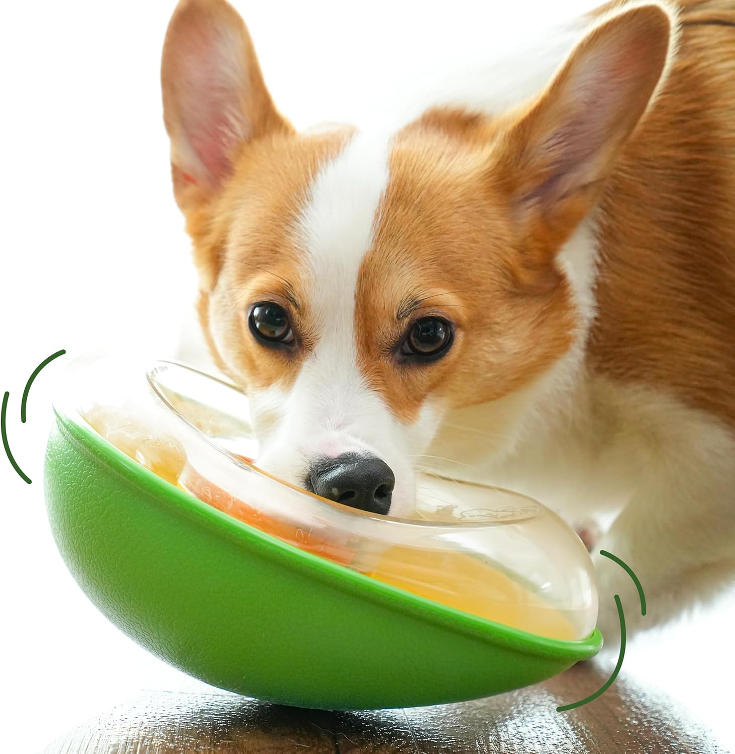 Dog Toy - Leak-Proof - Shake - Avocado - 1pc - Image 1