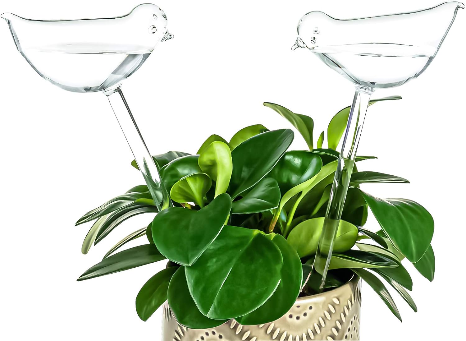 Self-watering globes, bird-shaped plant watering device, hand-blown, clear glass globe for indoor and outdoor plants, pack of 2 - Image 1