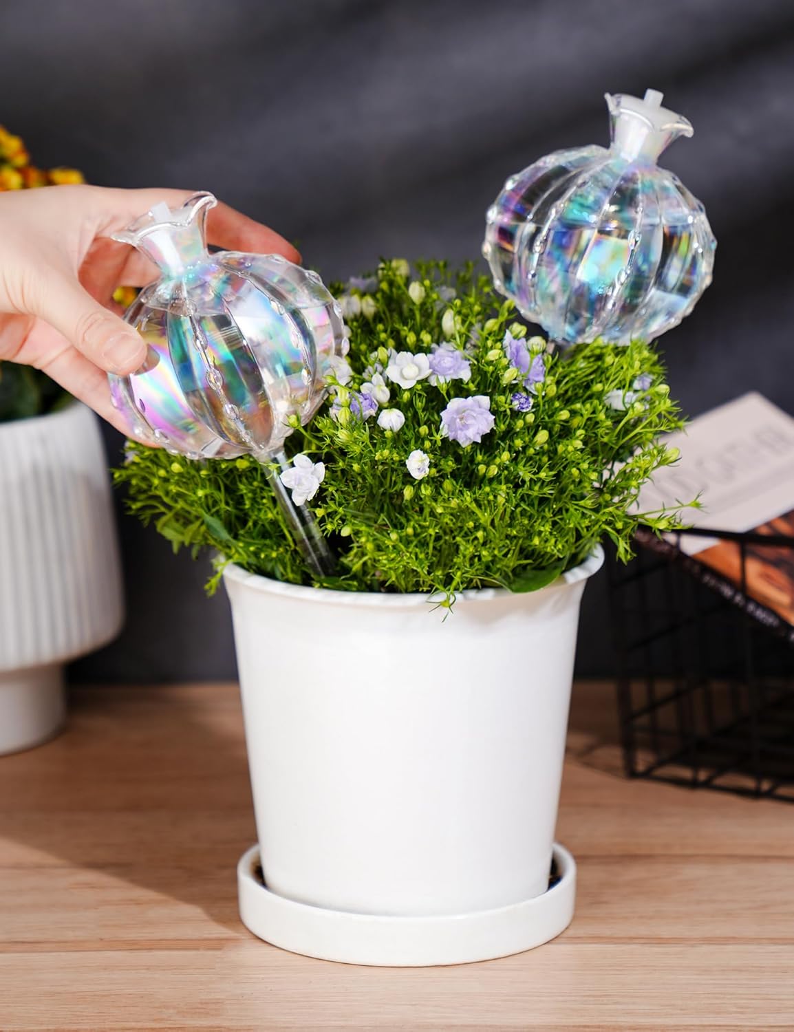 Large Plant Watering Balls (2-Pack), Iridescent Glass Cactus Self-Watering Globe, Glass Watering Device for Potted Plants - 4.7 oz/140 ml Capacity, Automatic Irrigation System, Cute Garden Gift - Image 2