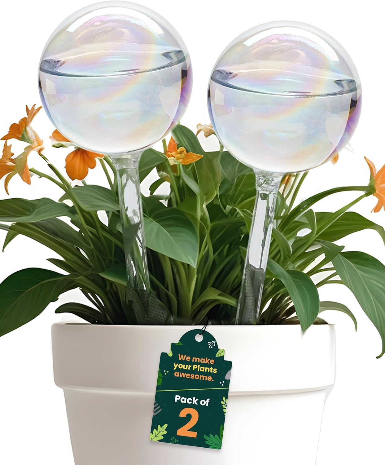Iridescent self-watering balls, glass rainbow plant watering balls, self-watering planter insert, automatic indoor plant watering, plant watering devices, plant watering balls, watering ball - Image 1