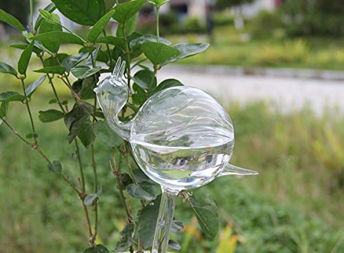 snail-shaped hand-blown clear glass self-watering sustainable mini transparent plant watering pot - Image 3