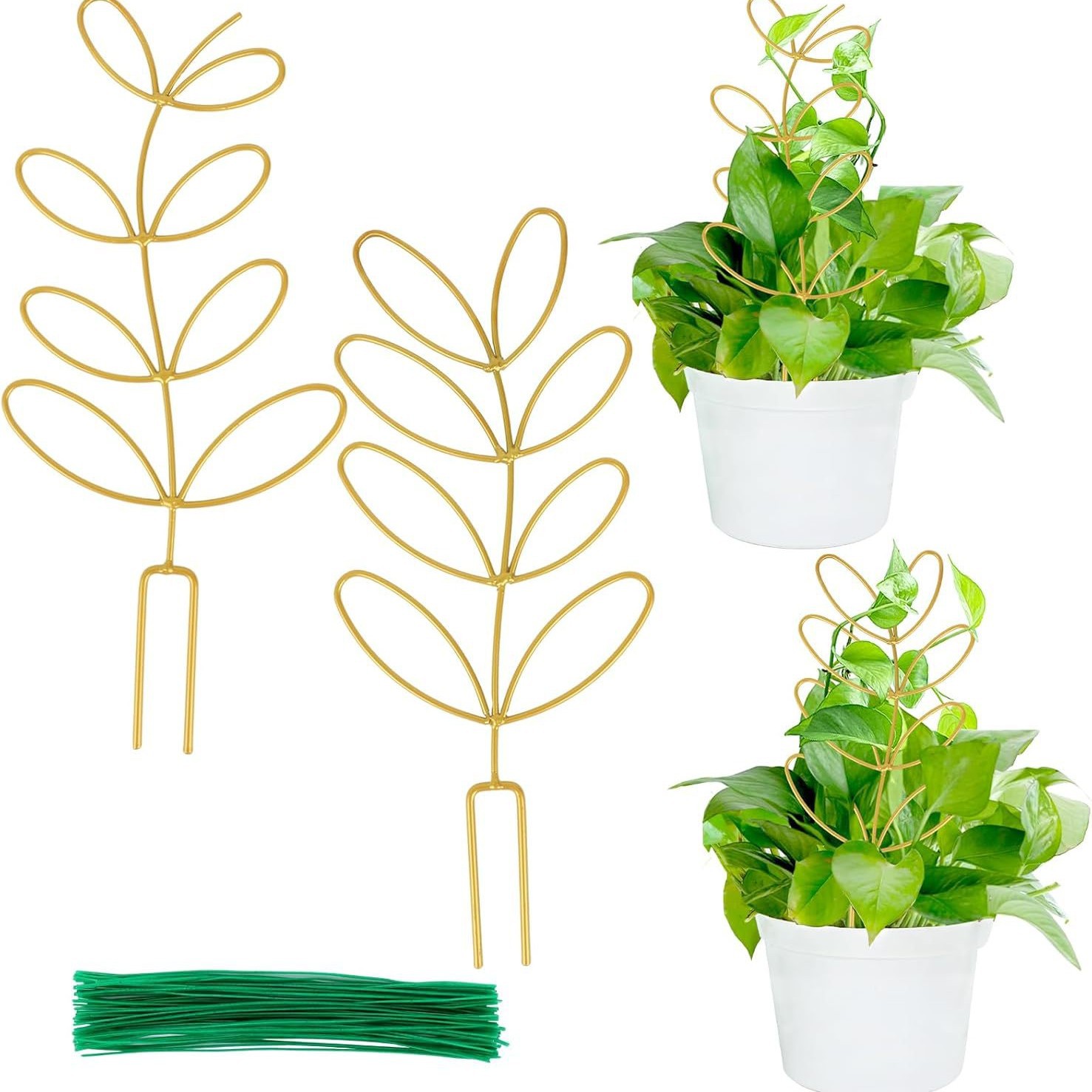 Plant Support Climbing Plants - Leaf-Shaped Plant Climbing Rack - Decorative Plant Stick for Indoors - Includes 20 Tie Straps - Gold - Image 1