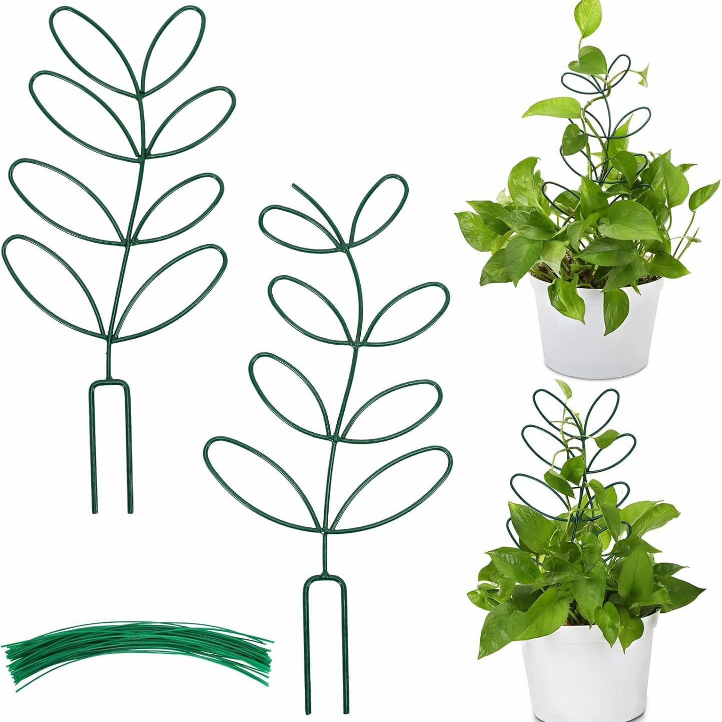 Plant Support Climbing Plants - Leaf-Shaped Plant Climbing Rack - Decorative Plant Pole for Indoor Use - Includes 20 Tie Straps - Green - Image 1