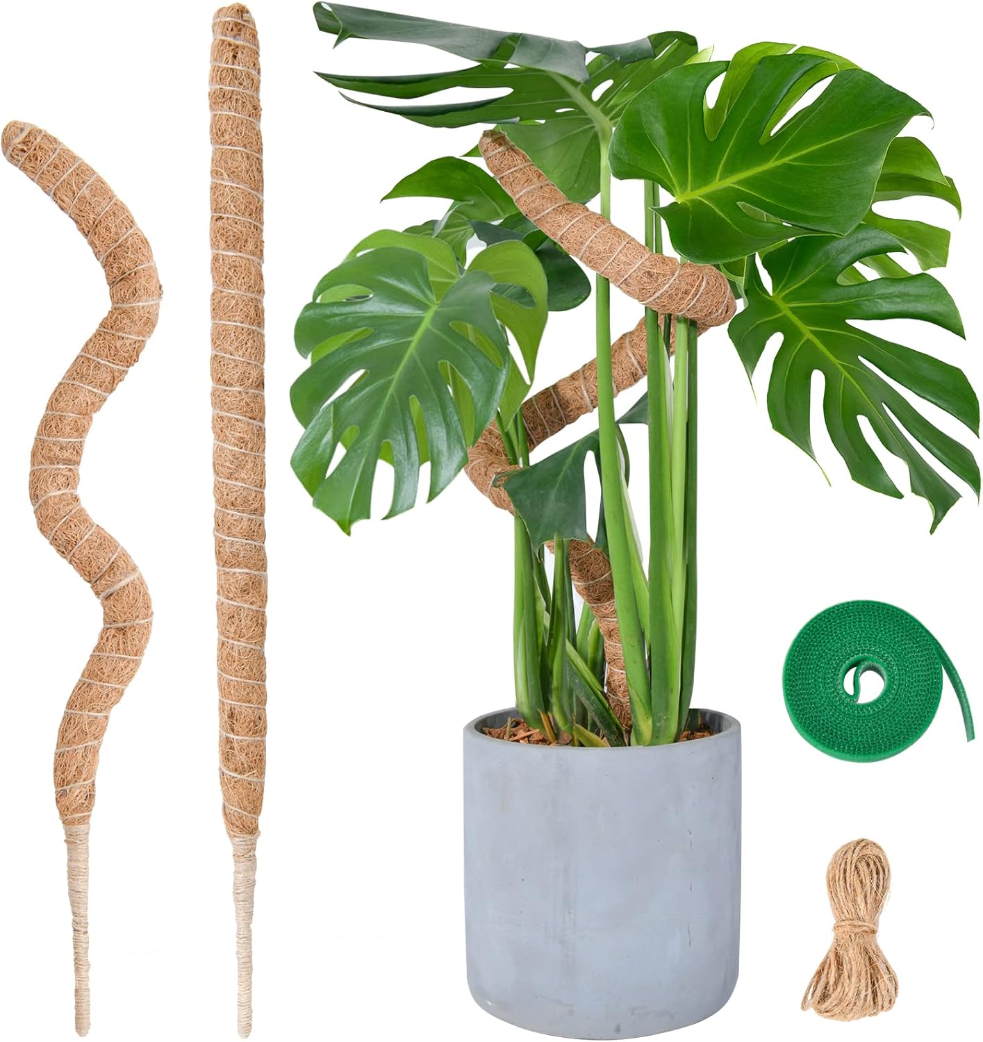Flexible Plant Support for Climbing Plants - 60 cm Set of 2 - For Houseplants - Image 1
