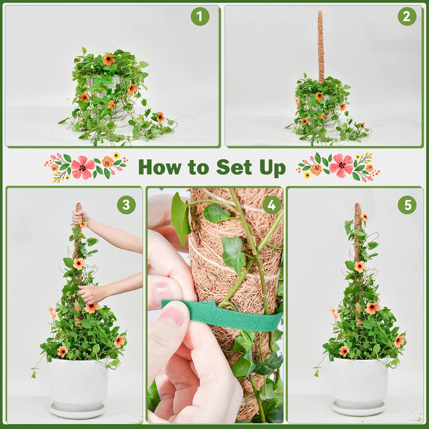 Flexible Plant Support for Climbing Plants - 60 cm Set of 2 - For Houseplants - Image 3