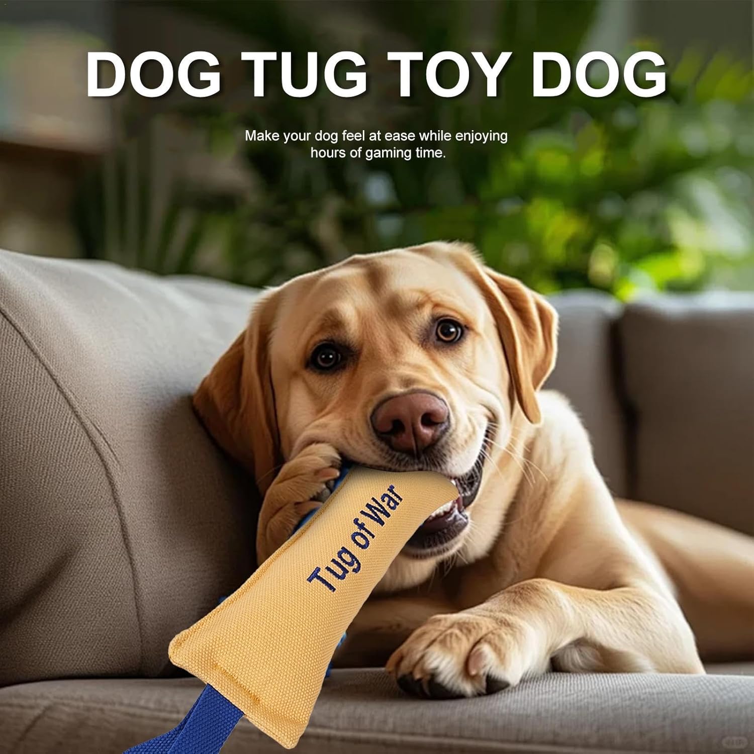 Bite Resistant Dog Toys - Heavy Duty Training Toys with Bite Resistance - Dog Tug Toys - Highly Efficient and Durable Training Aids - Yellow - One - Image 3
