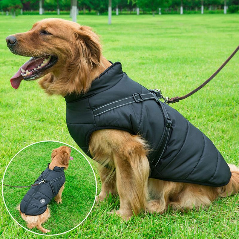 Army Green Winter Waterproof Dog Jacket with Built-in Harness, Warm Padded Cotton Vest for Small and Medium Breeds, Size S with Reflective Safety Strips - Image 4