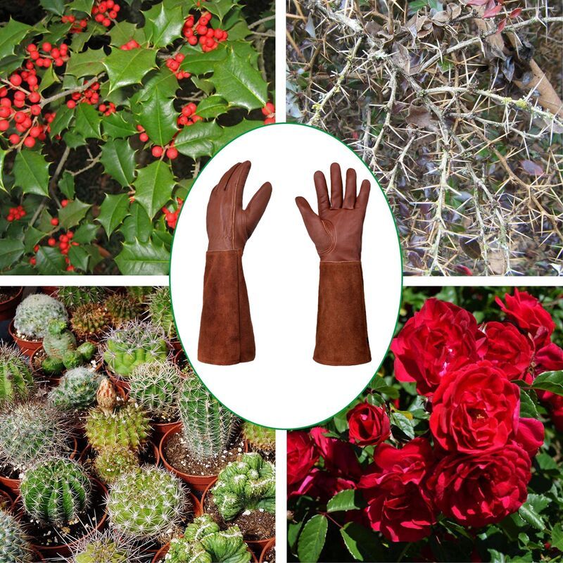 Long Thorn-Resistant Gardening Gloves for Women, Rose Pruning and Cactus Handling Protective Arm Covers, Thick Cowhide Leather with Cotton Lining - Image 5