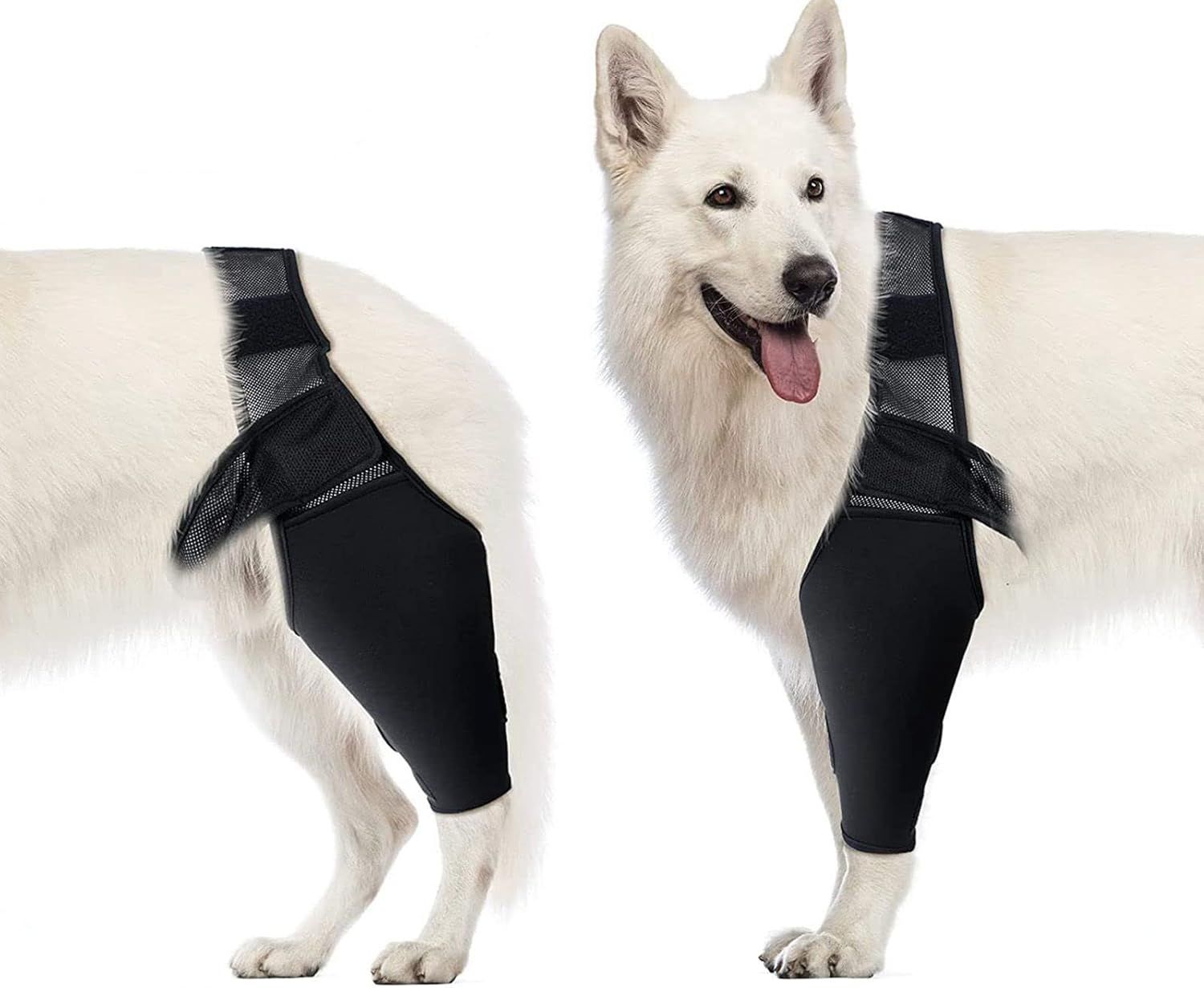 Dog Elbow Support Brace Compression Sleeve for Arthritis Dysplasia and Calluses, Increases Joint Temperature and Improves Circulation for Small to Medium Breeds Size M - Image 1
