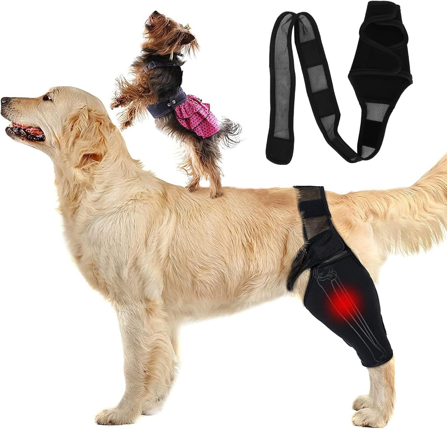 Dog Elbow Support Brace Compression Sleeve for Arthritis Dysplasia and Calluses, Increases Joint Temperature and Improves Circulation for Small to Medium Breeds Size M - Image 2