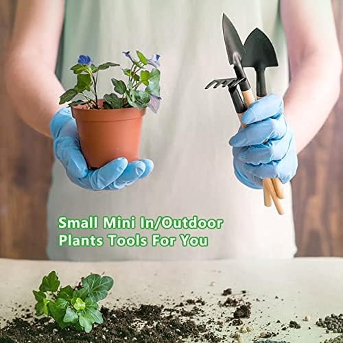 Small Garden Tool Set, 6 Pieces Iron Gardening Kit Including Hand Shovel, Transplant Shovel and Hand Rake with Wood Non-Slip Handle Perfect for Plant Lovers - Image 2