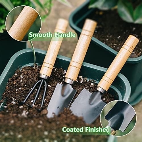 Small Garden Tool Set, 6 Pieces Iron Gardening Kit Including Hand Shovel, Transplant Shovel and Hand Rake with Wood Non-Slip Handle Perfect for Plant Lovers - Image 5
