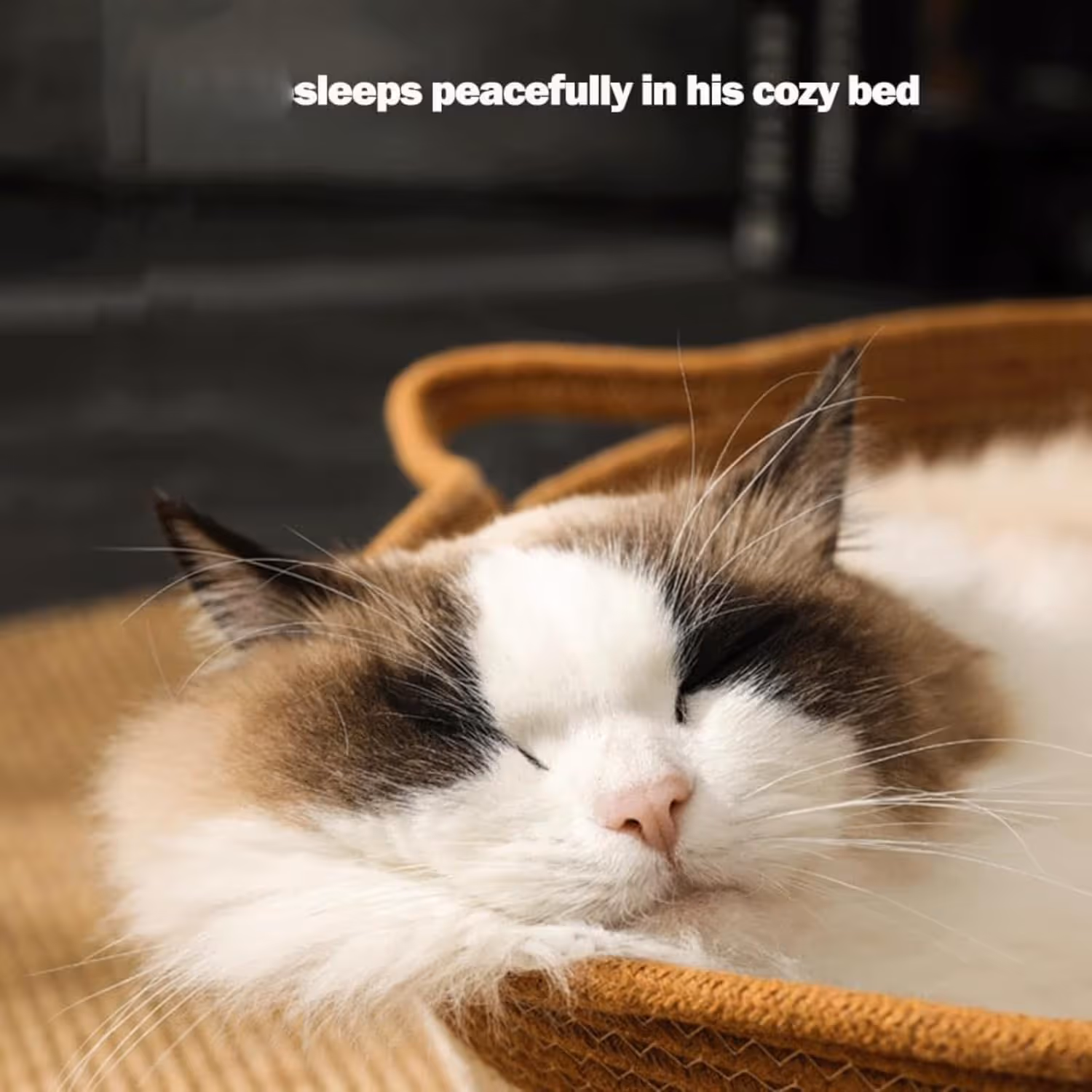 Stimulicat Cat Bed Rope Cotton, Stimuli cat Basket Bed, Cotton Rope Woven Round Cat Beds Basket with Built-in Teasing Ball, Handwoven Foldable Scratchable for Small & Large pet Gray - Image 2