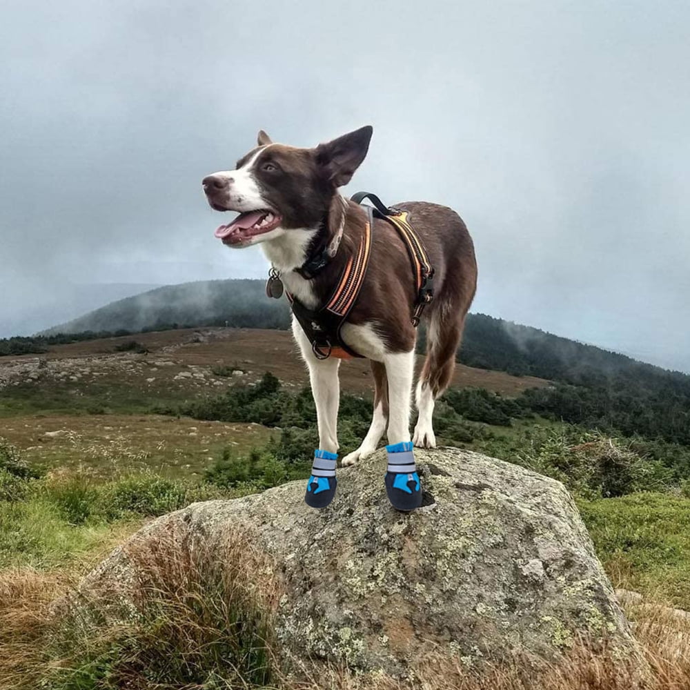 Dog Boots for Dogs Non-Slip, Waterproof Dog Booties for Outdoor, Dog Shoes for Medium to Large Dogs with Rugged Sole M Blue - Image 2