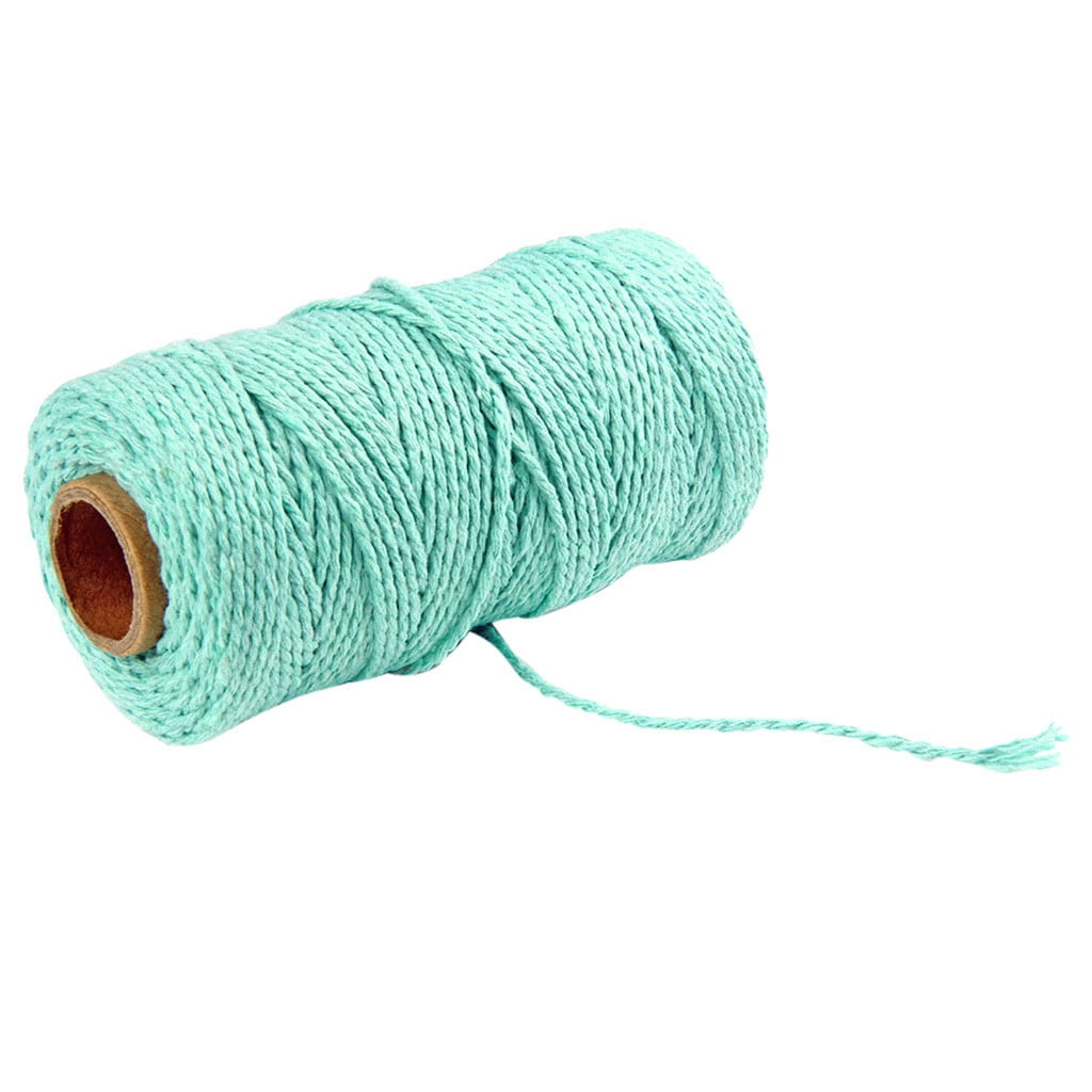 Danhjin 100m Long/100Yard Pure Cotton Twisted Cord Rope Crafts Macrame Artisan String - on Clearance light blue - Image 2