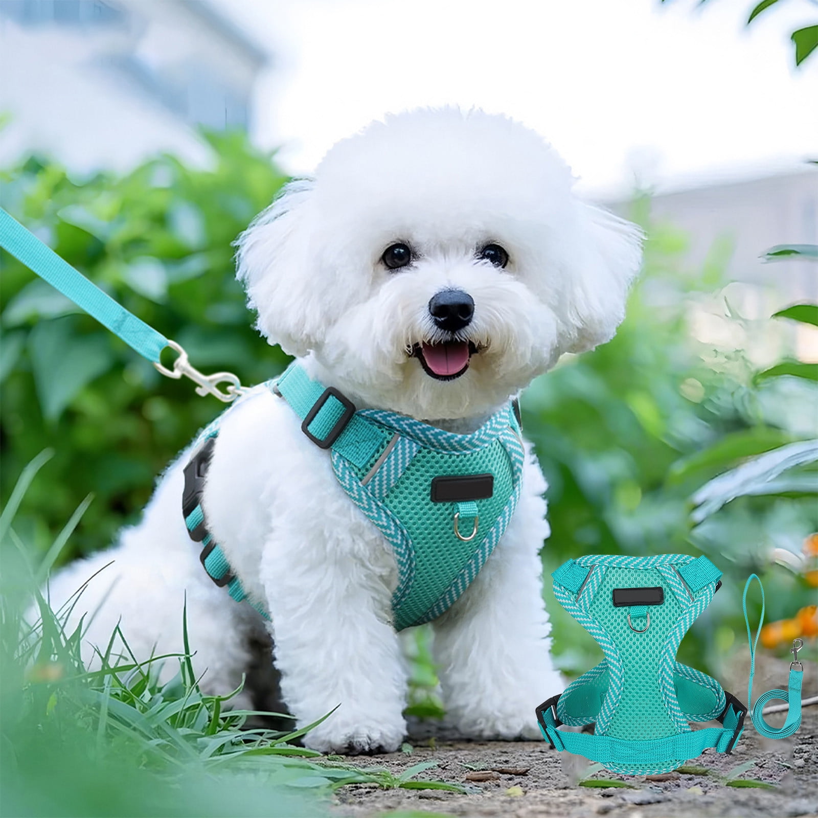 Tyidzon Small Dog Harness with Pet Lead, Puppy Harness Reflective Step-in Puppy Pet Harnesses for Small Medium Dogs and Cats Blue - Image 1