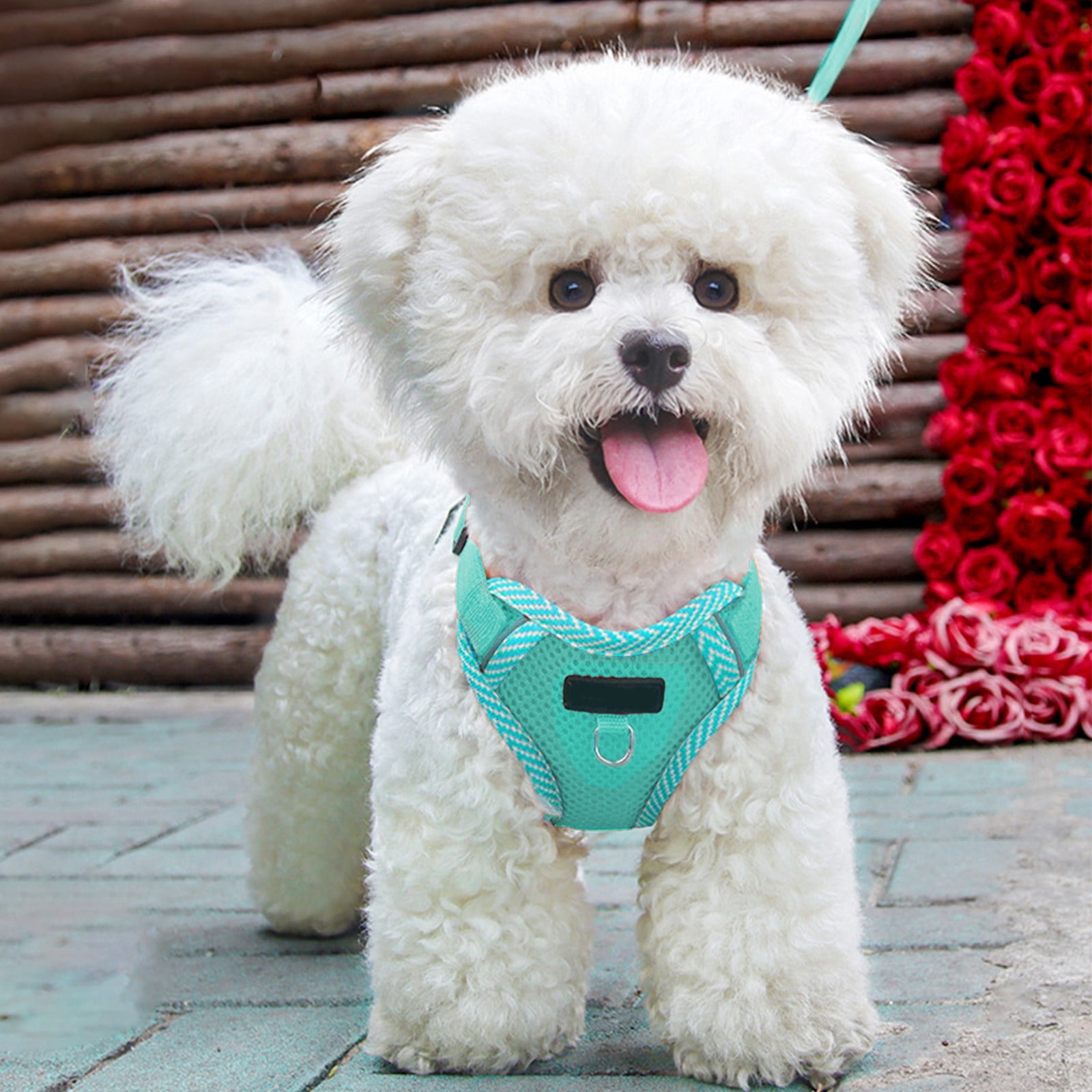 Tyidzon Small Dog Harness with Pet Lead, Puppy Harness Reflective Step-in Puppy Pet Harnesses for Small Medium Dogs and Cats Blue - Image 4