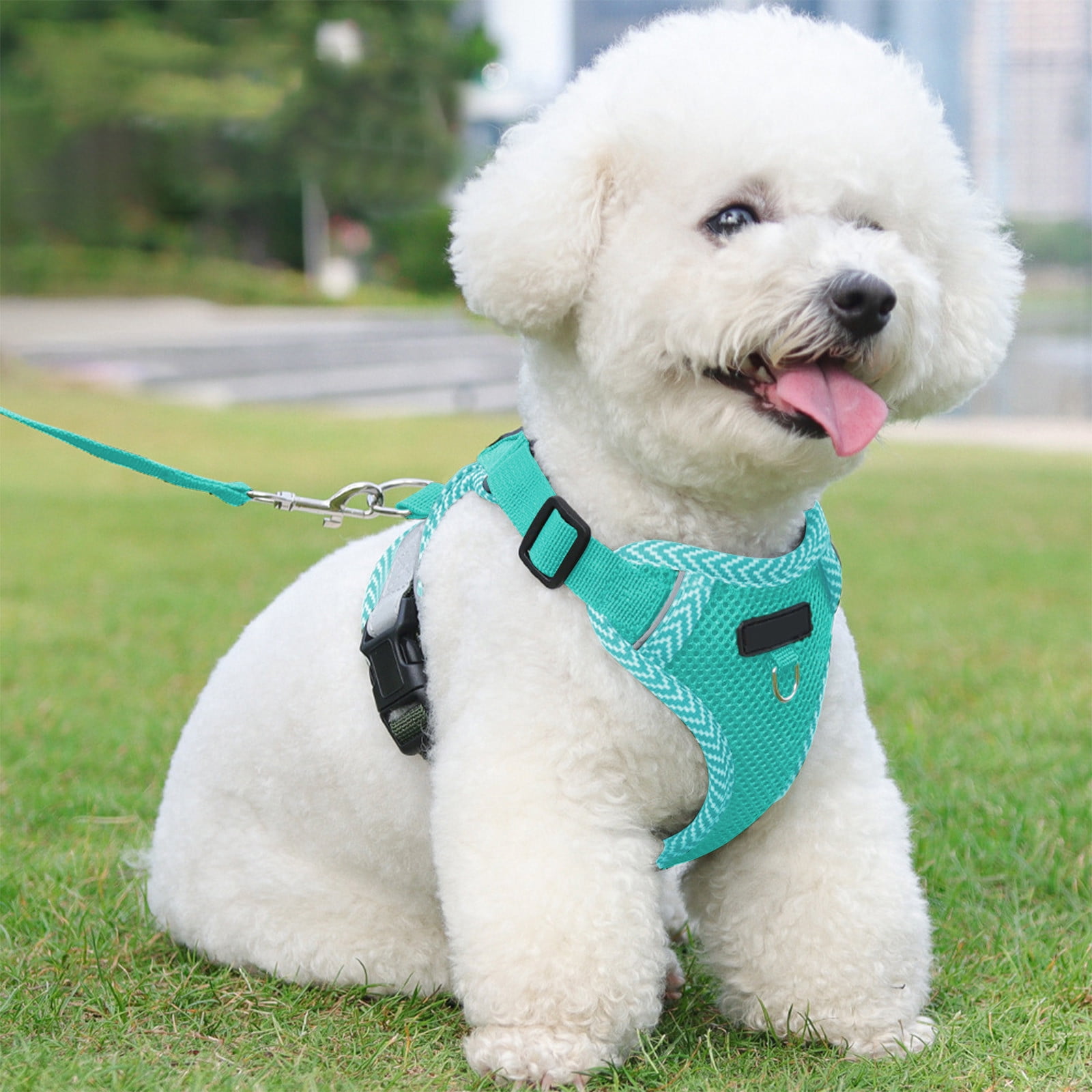 Tyidzon Small Dog Harness with Pet Lead, Puppy Harness Reflective Step-in Puppy Pet Harnesses for Small Medium Dogs and Cats Blue - Image 5