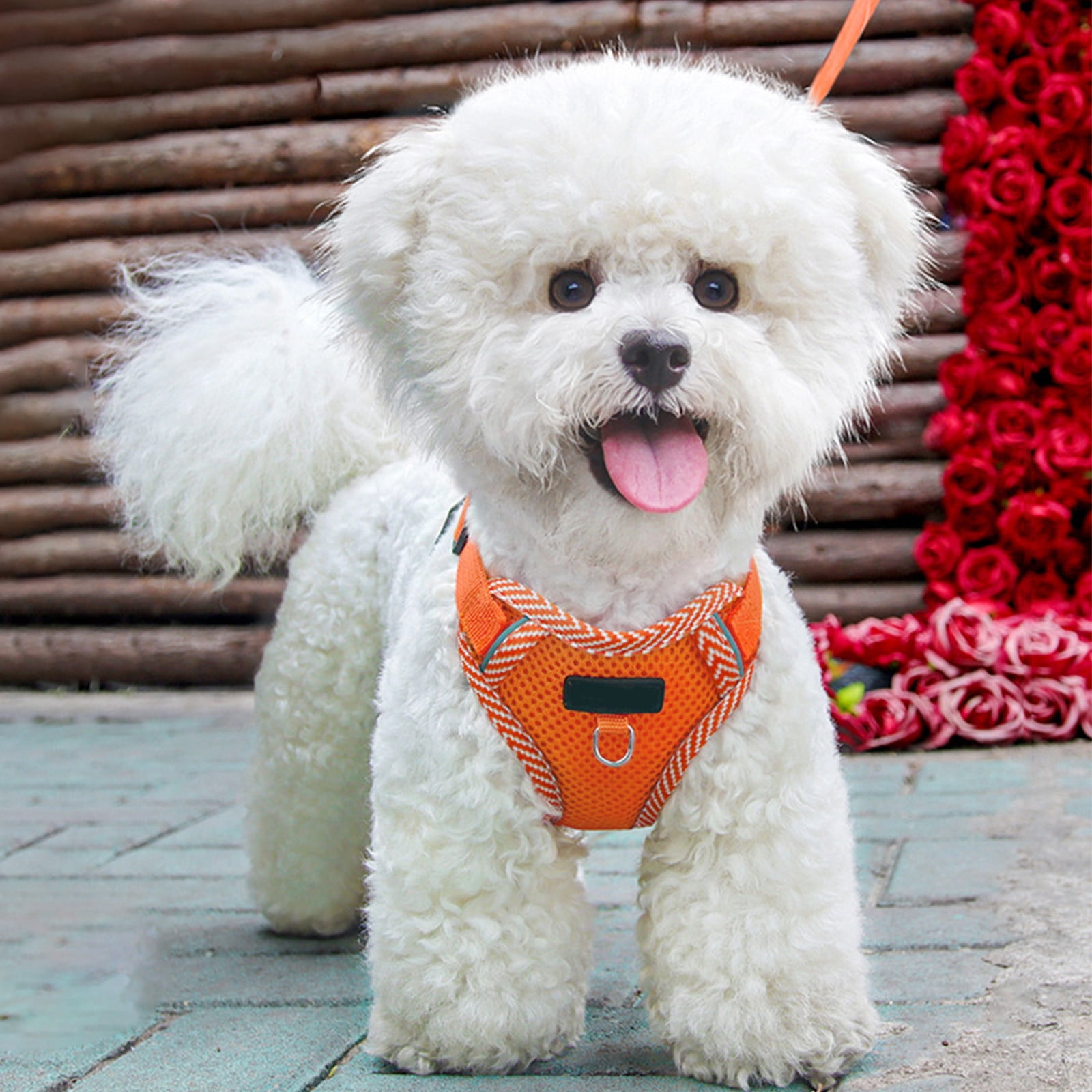 Tyidzon Small Dog Harness with Pet Lead, Puppy Harness Reflective Step-in Puppy Pet Harnesses for Small Medium Dogs and Cats Orange - Image 4