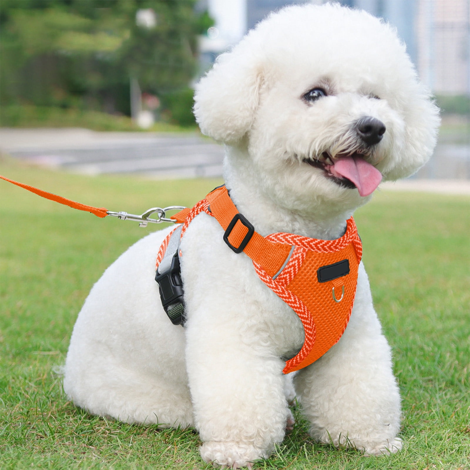Tyidzon Small Dog Harness with Pet Lead, Puppy Harness Reflective Step-in Puppy Pet Harnesses for Small Medium Dogs and Cats Orange - Image 5