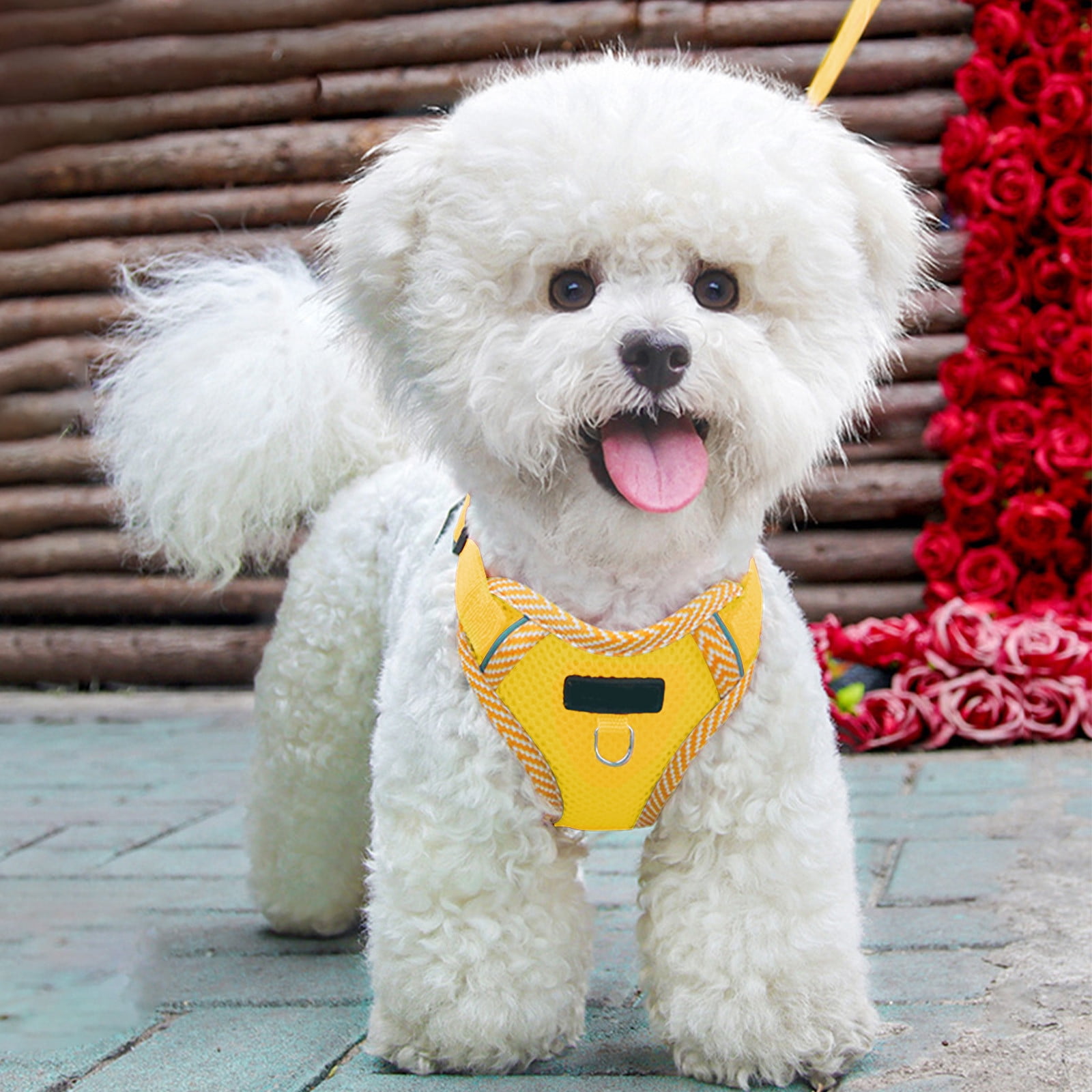 Tyidzon Small Dog Harness with Pet Lead, Puppy Harness Reflective Step-in Puppy Pet Harnesses for Small Medium Dogs and Cats Yellow - Image 4
