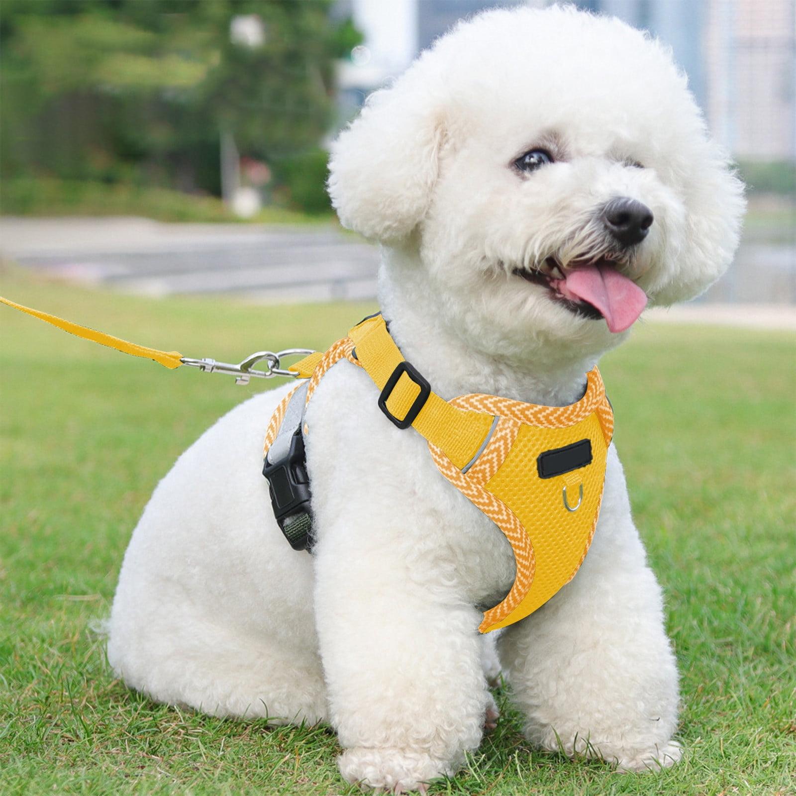Tyidzon Small Dog Harness with Pet Lead, Puppy Harness Reflective Step-in Puppy Pet Harnesses for Small Medium Dogs and Cats Yellow - Image 5