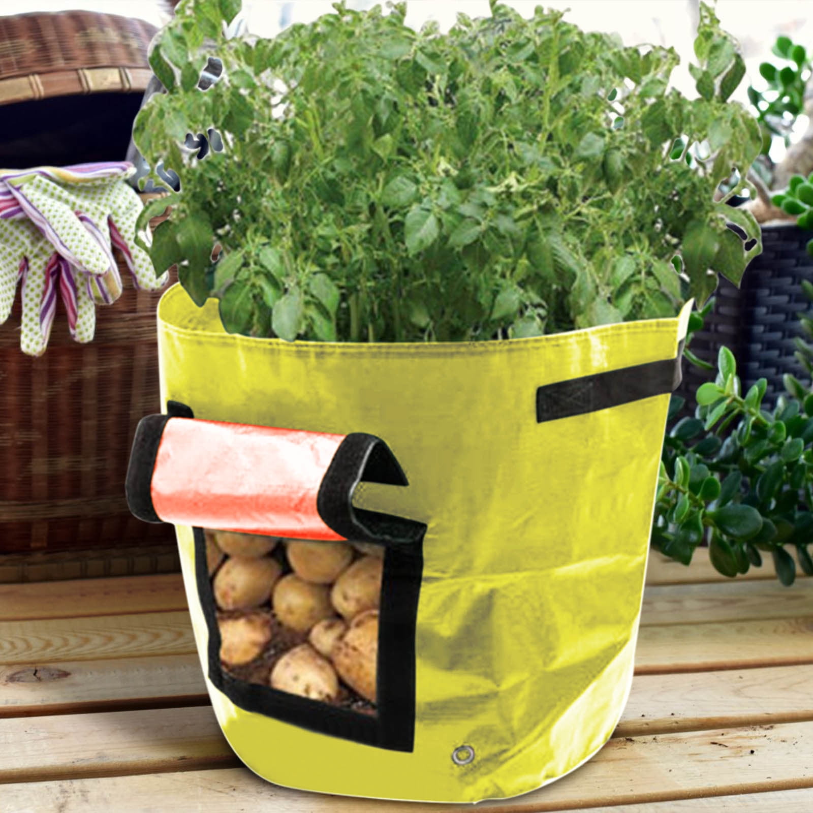 Suncoda Summer Savings 34x35cm Potato Grow Bag with Side Window & Handles 12