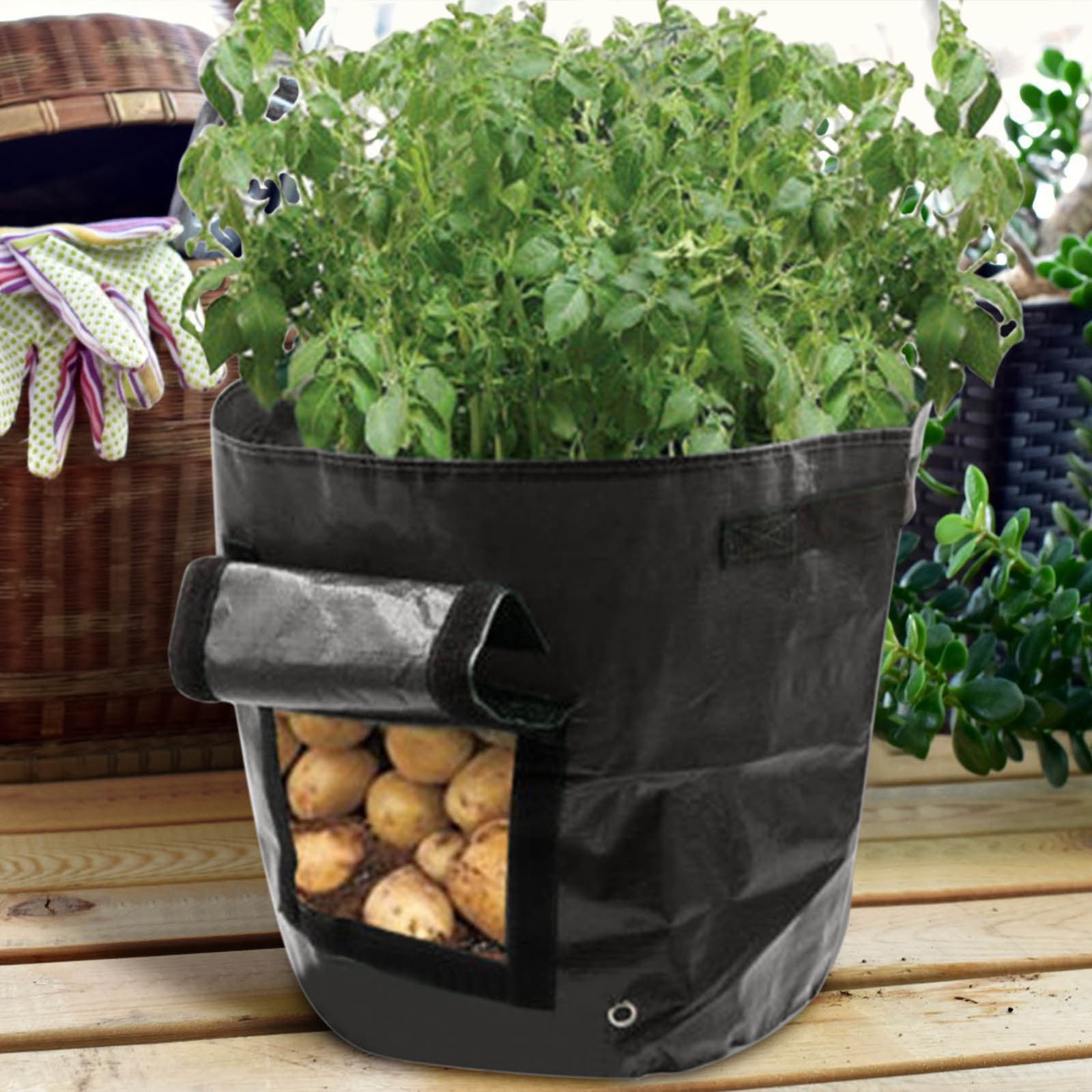 Suncoda Summer Savings 34x35cm Potato Grow Bag with Side Window & Handles 14
