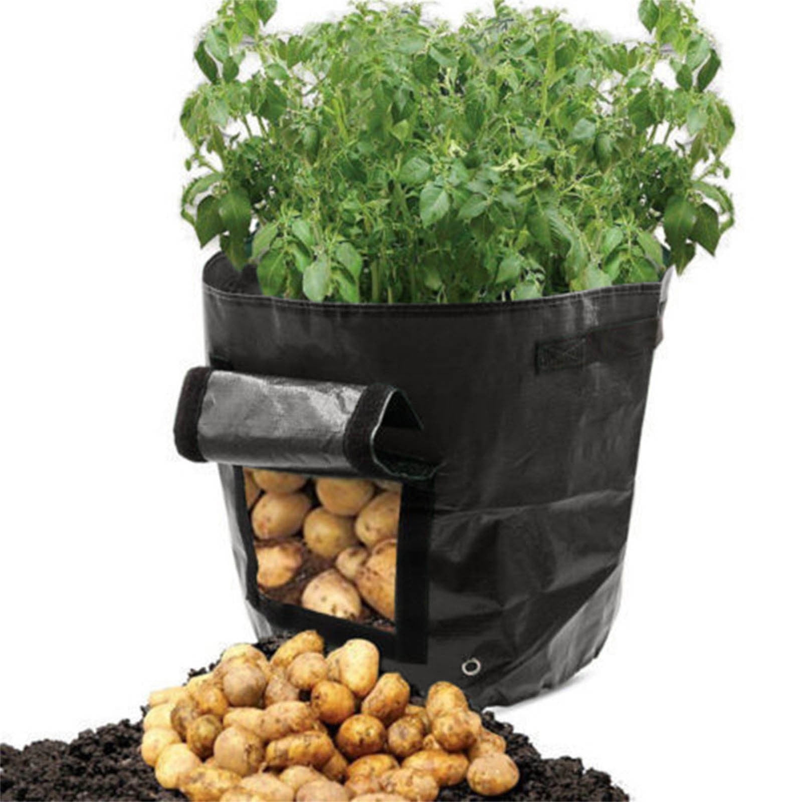 Suncoda Summer Savings 34x35cm Potato Grow Bag with Side Window & Handles 14