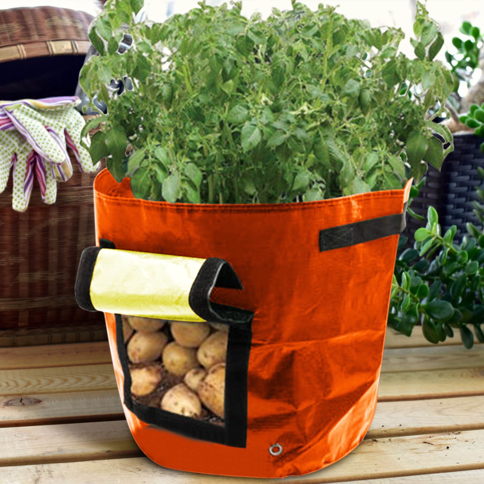 Suncoda Summer Savings 34x35cm Potato Grow Bag with Side Window & Handles 13