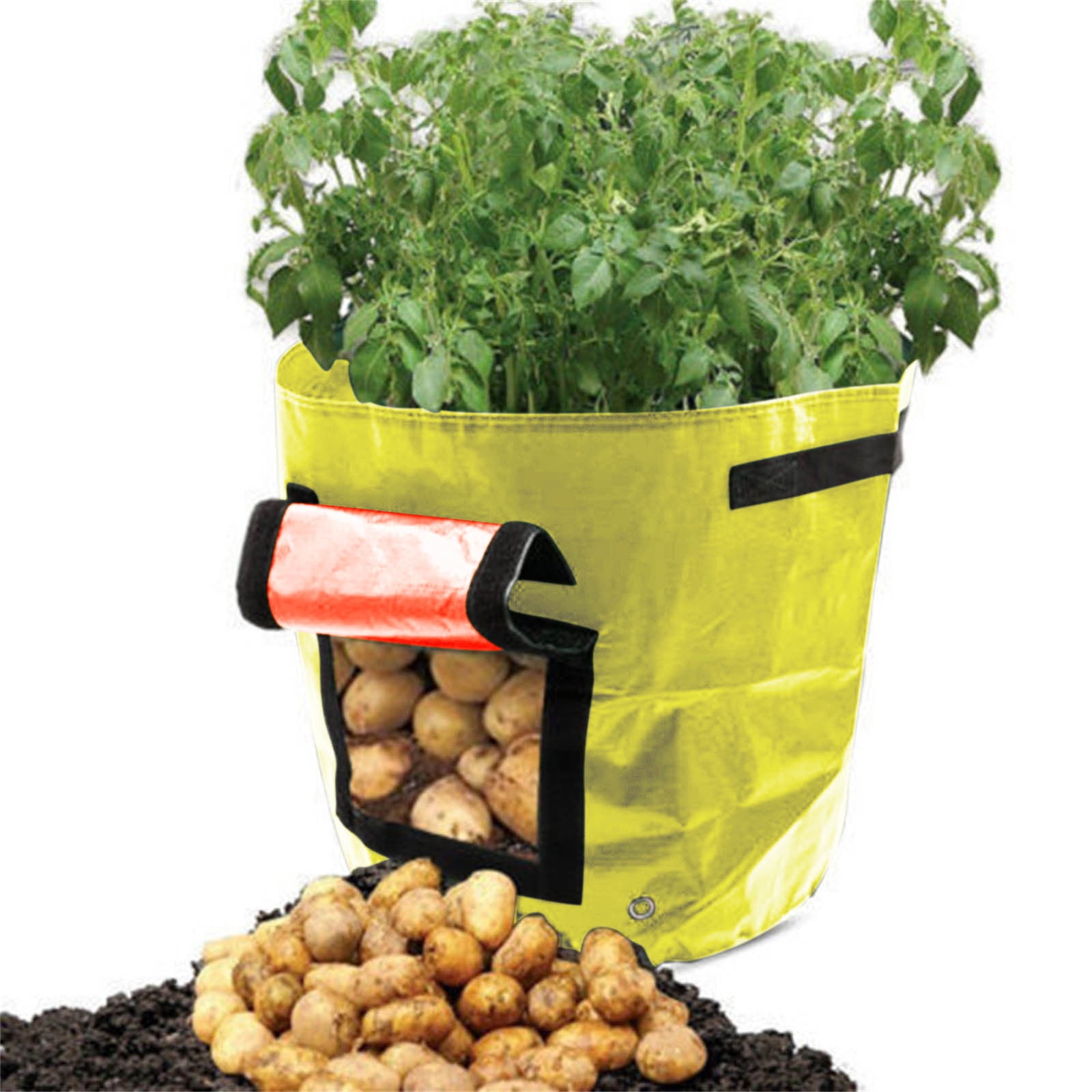 Suncoda Summer Savings 34x35cm Potato Grow Bag with Side Window & Handles 12