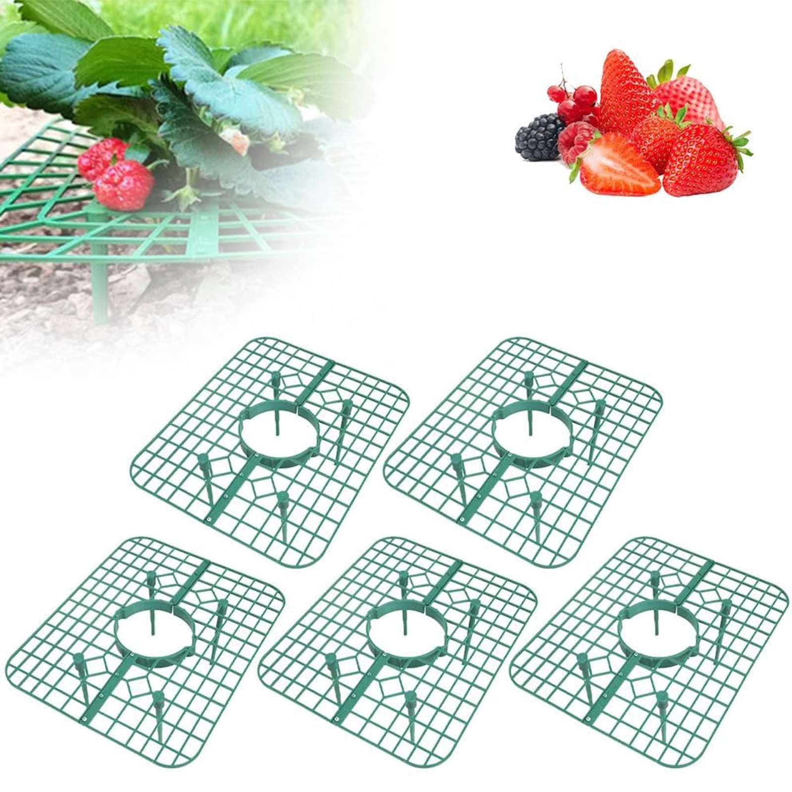 JWDX Rack Clearance, Strawberry Plant Support Strawberry Stand Keeping Strawberry Plants Clean Strawberry Growing Racks Strawberry Growing Frame（5Pcs） B - Image 2
