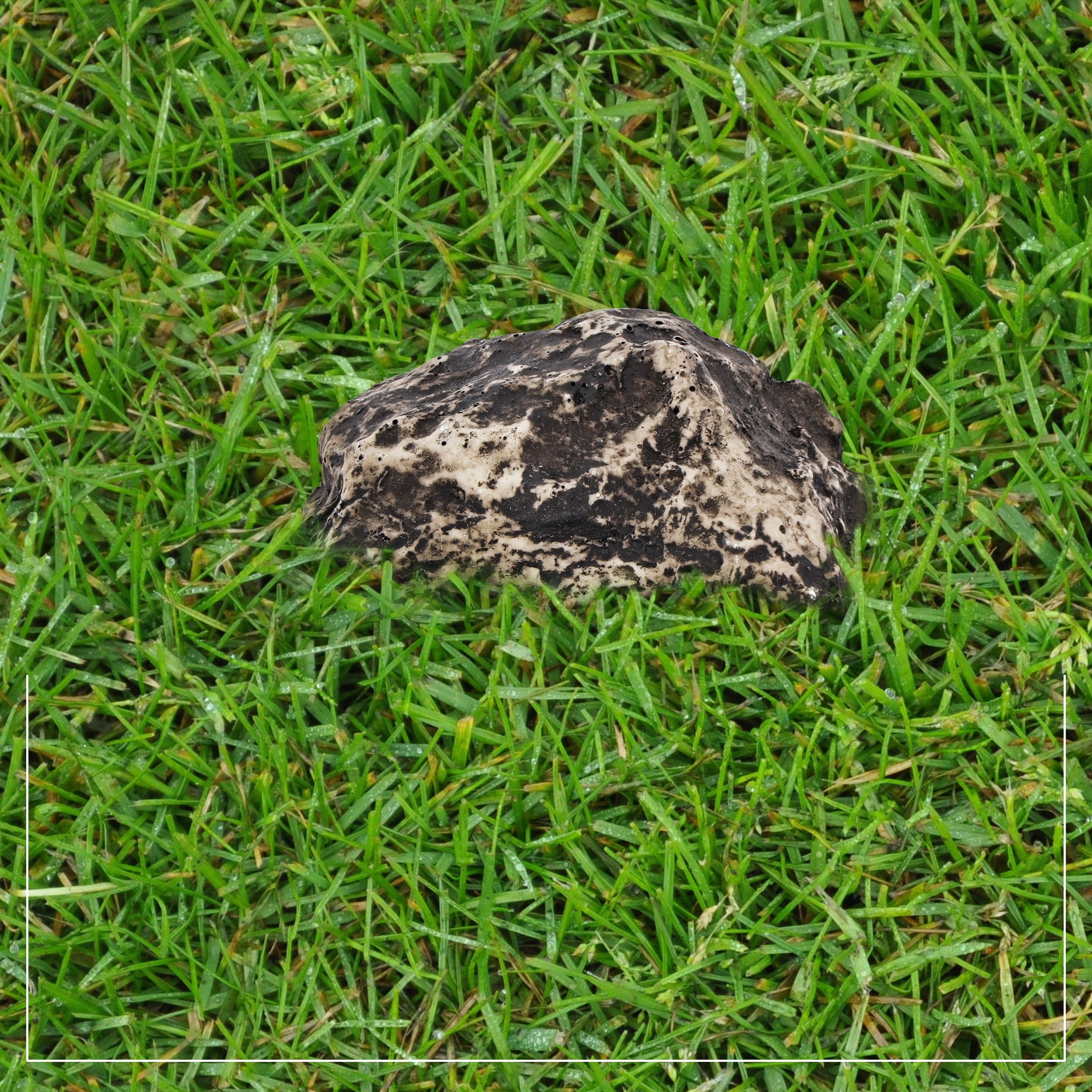 Hide-a-Spare-Key Fake Rock - Looks & Feels like Real Stone - Safe for Outdoor Garden or Yard, Geocaching (1) - Image 7