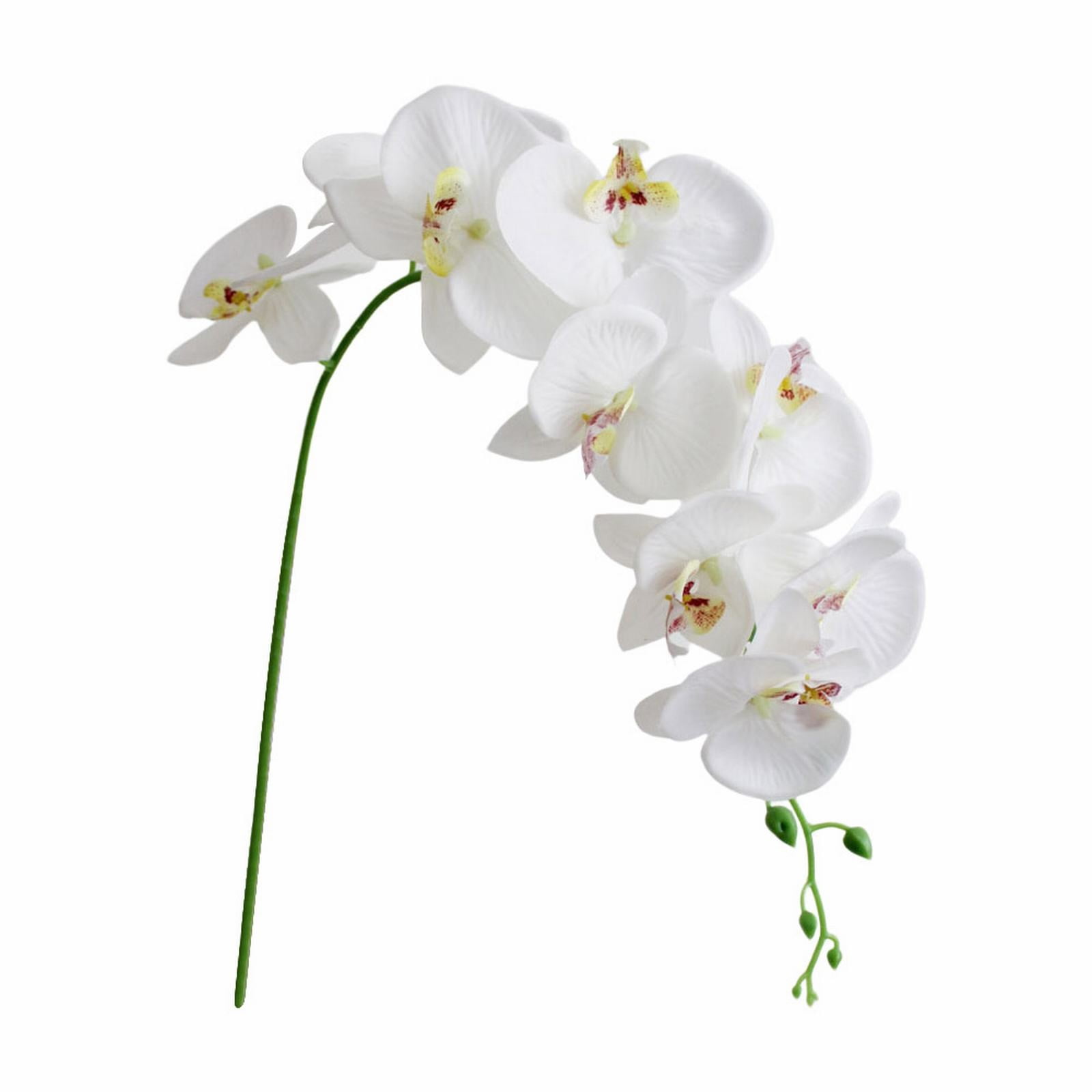 LGCASL Flowers Faux Butterfly Orchid 1 Pc Real Double Branch Silk Flowers for Wedding Home Office Party Hotel Yard Decoration Restaurant Patio Festive Furnishing, 1 Artificial Flower artificial flowers White - Image 1