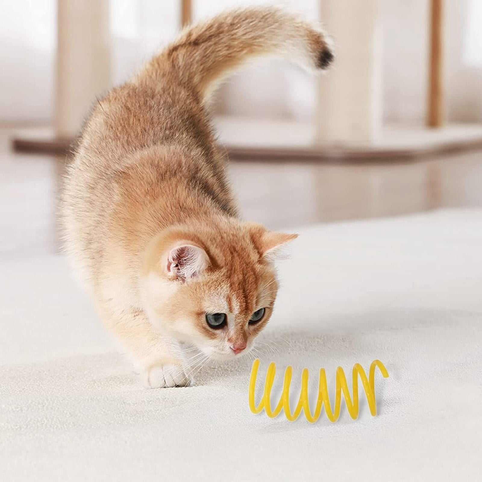 LGCASL Red Pet Cat Toy Spring Style Spring Toys Playful Coils for Plastic for Swatting Biting Hunting and Active Play Colorful, Red Green - Image 6