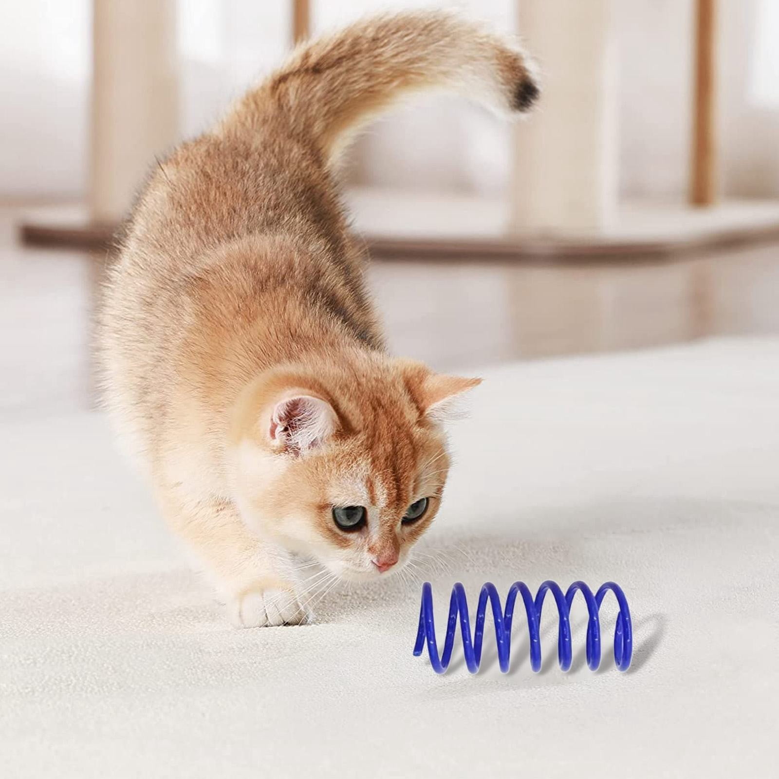 LGCASL Red Pet Cat Toy Spring Style Spring Toys Playful Coils for Plastic for Swatting Biting Hunting and Active Play Colorful, Red Green - Image 8