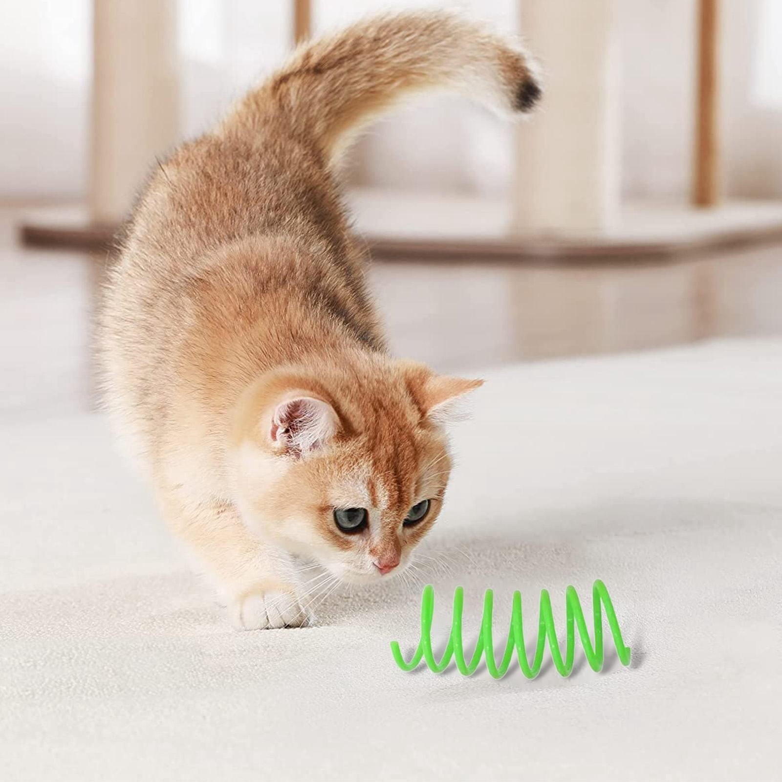 LGCASL Red Pet Cat Toy Spring Style Spring Toys Playful Coils for Plastic for Swatting Biting Hunting and Active Play Colorful Red - Image 5