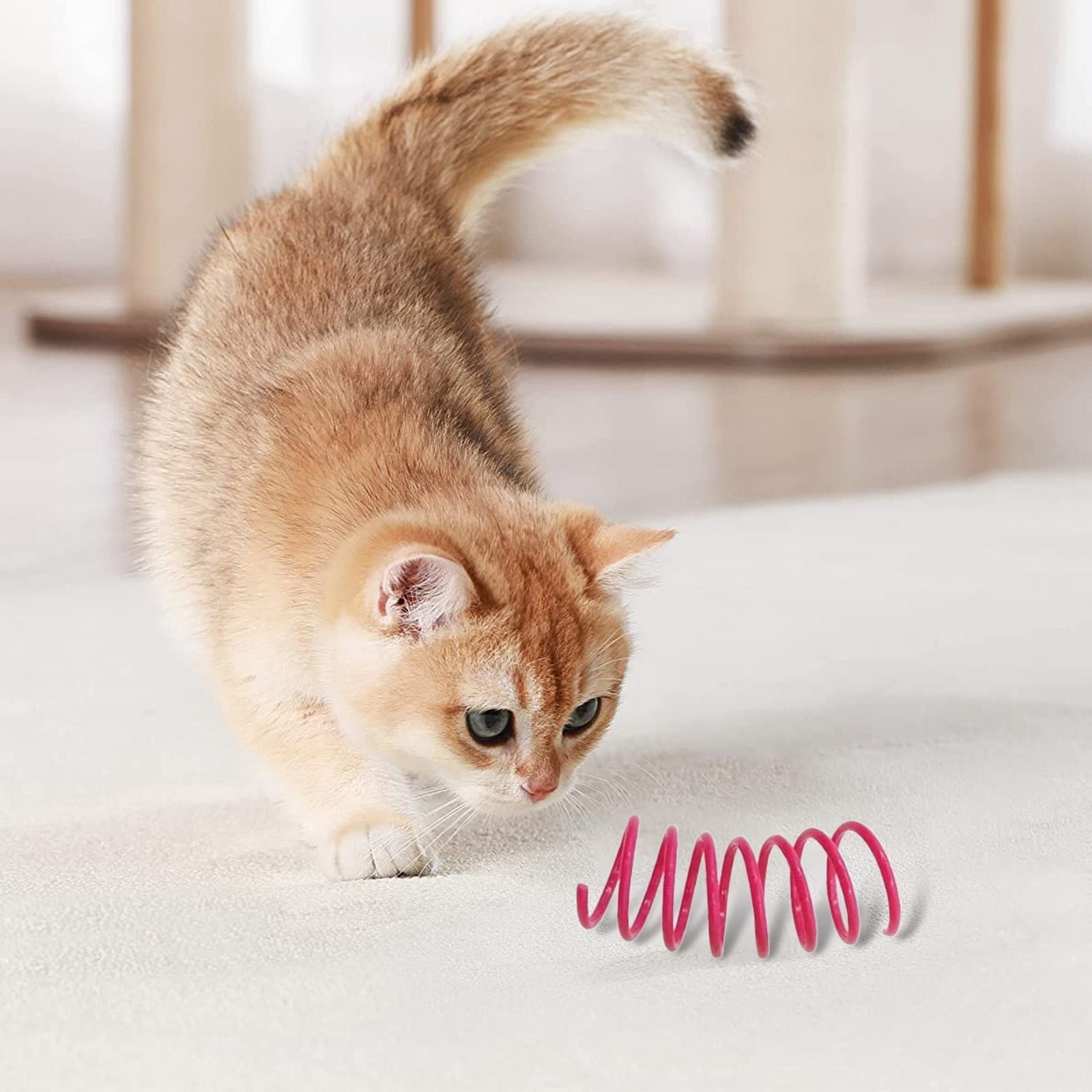 LGCASL Red Pet Cat Toy Spring Style Spring Toys Playful Coils for Plastic for Swatting Biting Hunting and Active Play Colorful, Red Yellow - Image 4