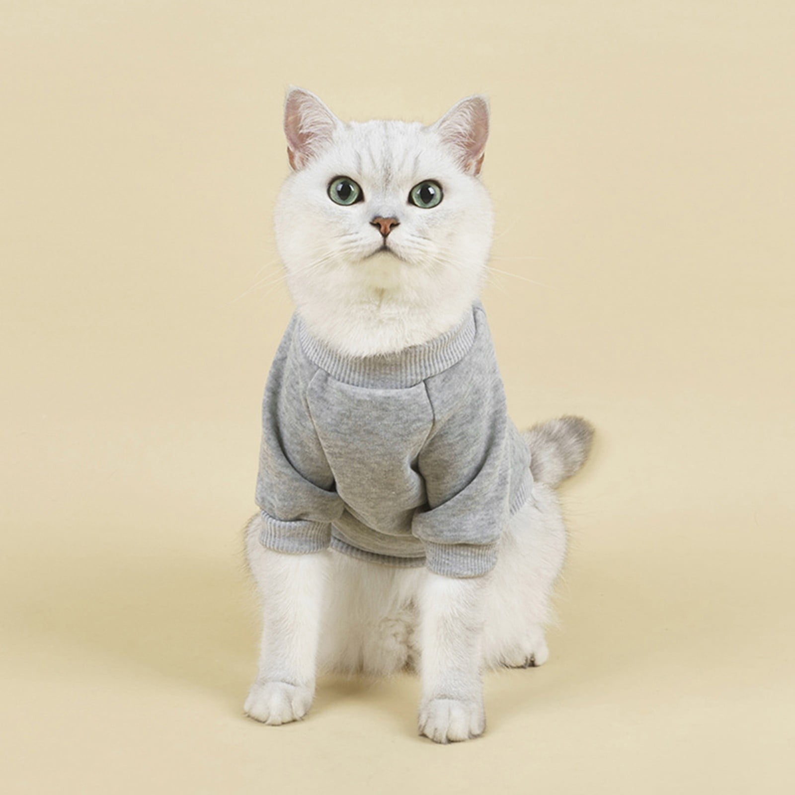 LGCASL Pet Hoodie, Dog Winter Sweater Cat Warm Clothes Pet Sweater Round Neck Solid Color Thickening Cat Dog Knitwear Sweater for Cats Or Dogs in Cold Season (Light Blue, S) S Grey - Image 2