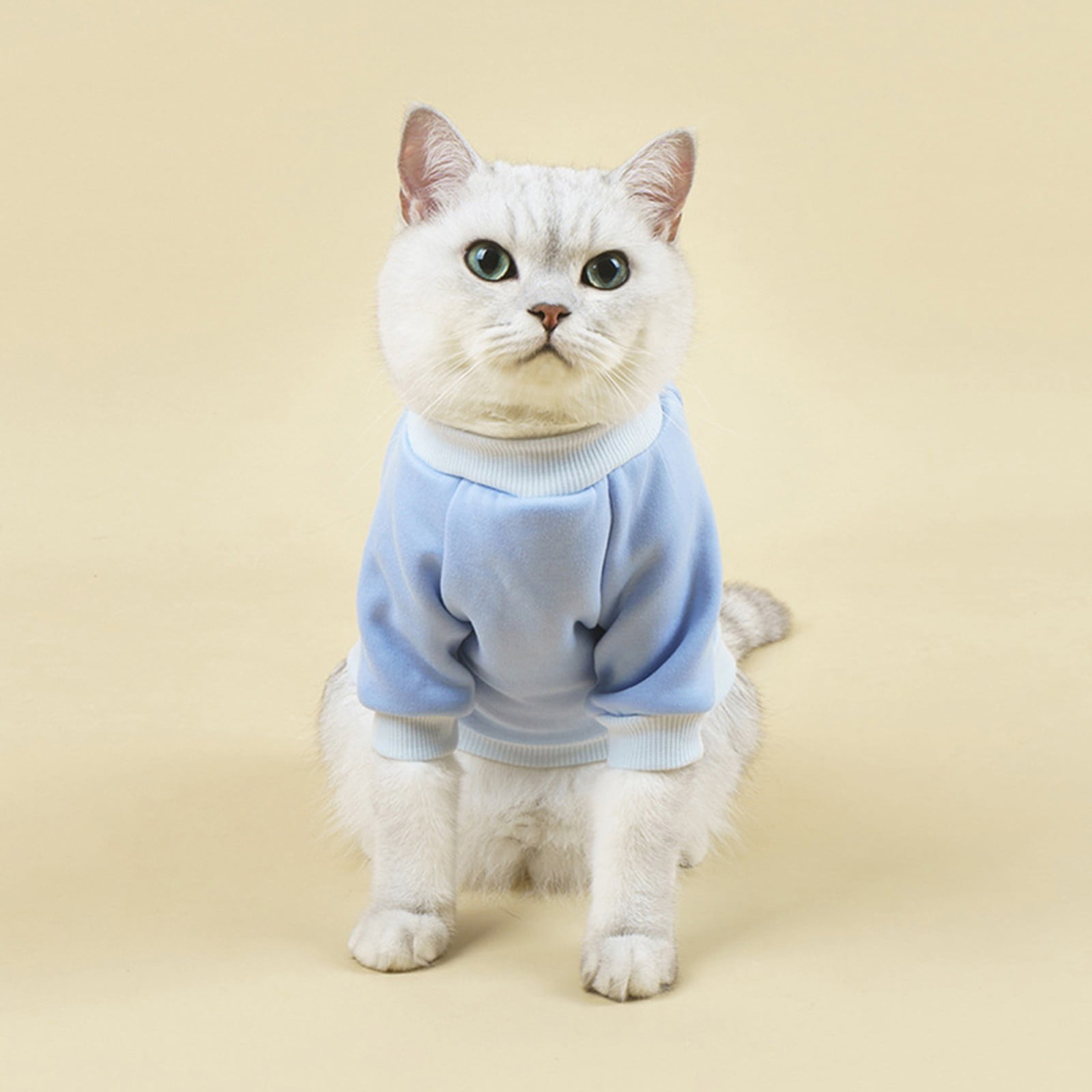 LGCASL Pet Hoodie, Dog Winter Sweater Cat Warm Clothes Pet Sweater Round Neck Solid Color Thickening Cat Dog Knitwear Sweater for Cats Or Dogs in Cold Season (Light Blue, S) S Light blue - Image 2