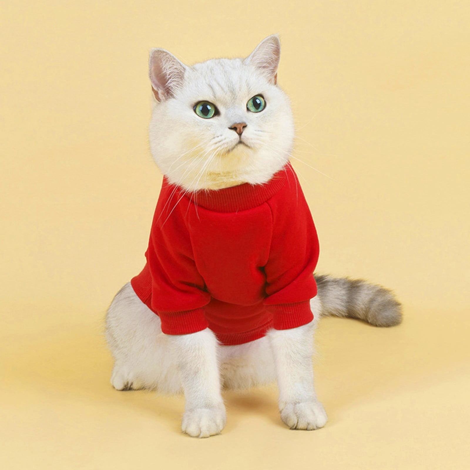 LGCASL Pet Hoodie, Dog Winter Sweater Cat Warm Clothes Pet Sweater Round Neck Solid Color Thickening Cat Dog Knitwear Sweater for Cats Or Dogs in Cold Season (Light Blue, S) S Red - Image 2