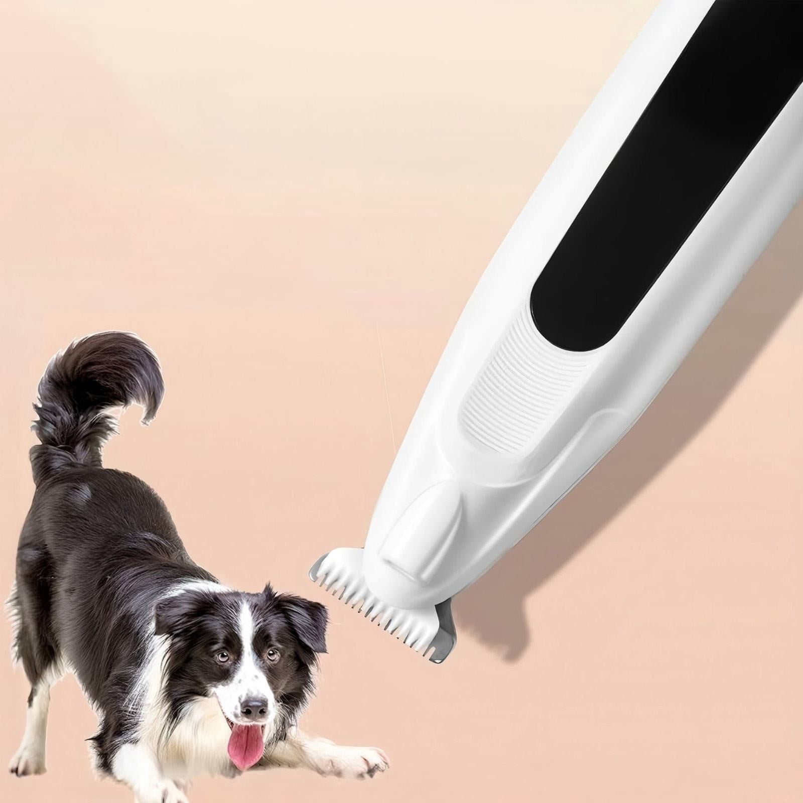 LGCASL Pet Grooming Kit, Small to Medium-Sized Pet Grooming Tools Dog Trimmer Pet Precision Trimmer for Cordless Dog Clipper Trimmer for Dogs Usb Rechargeable Noise Dog Grooming for Ears, White Blue - Image 8