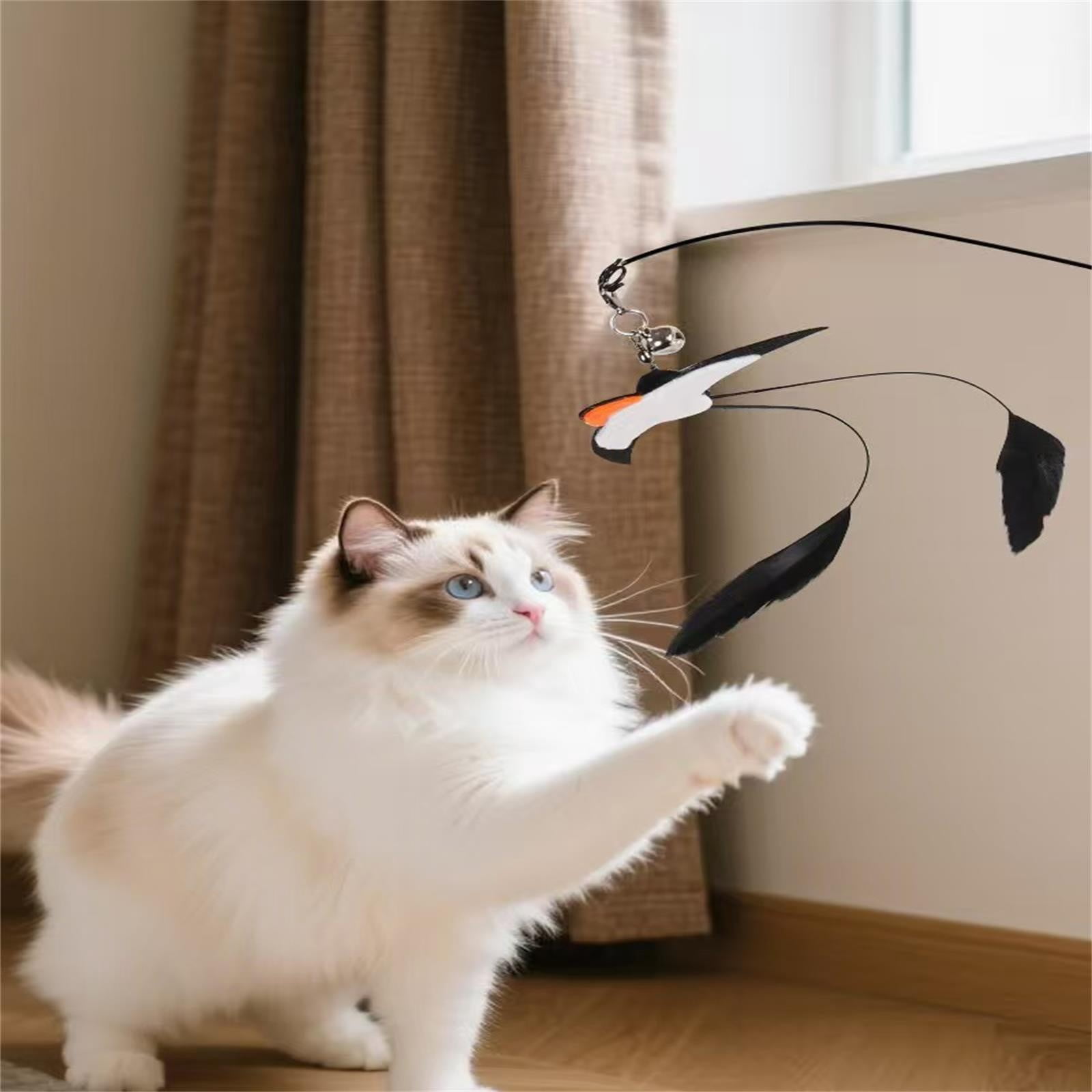 LGCASL Pet Chew Toys Clearance! Teasing Stick Replaces the Head Swallow Model Retractable Teasing Artifact with Bell Interactive Toy Black - Image 2
