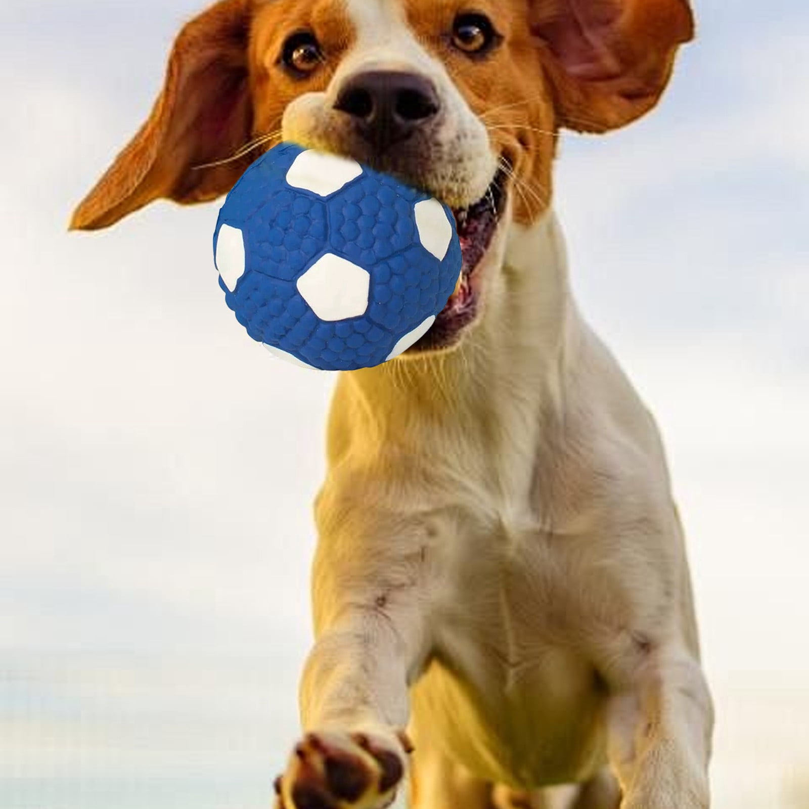 LGCASL Soccer Ball Chew Toy Dog Toy Squeak Rubber Fun Suitable for Large and Medium Sized Dogs Dog Toy Squeak Rubber Fun Suitable for Large and Medium Sized Dogs (Blue, L) S Blue - Image 4