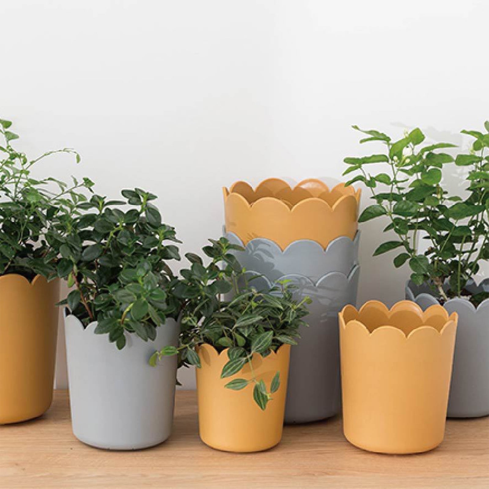 Jwdx Flower Pots Clearance, Garden Supplies Promotion! Plastic Plant Pots for Plants With Saucers Indoor Set of 1 Plastic Planters Modern Flower Pot With Hole for All House Plants Herbs Flowers Or4 Z5-OR1 - Image 6