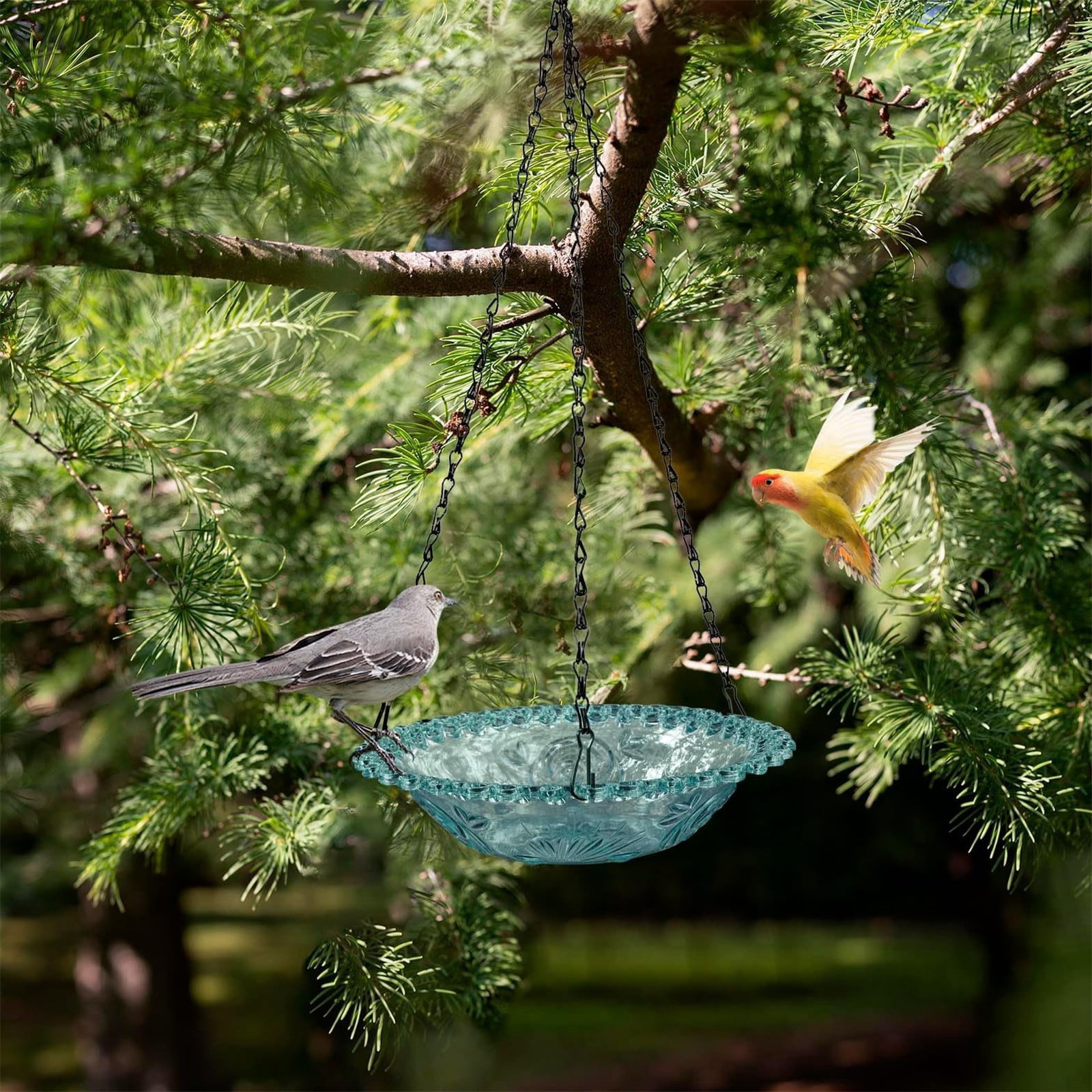 JWDX Bird Feeders for Outdoors Clearance! Hanging Bird Bath Plastic Bird Bath Plate Hanging Tray for Outdoors Hanging Bird Water or Bird Seed Hanging Bird Feeder for Outdoors Bird Bath Bowl S4-Blue - Image 6