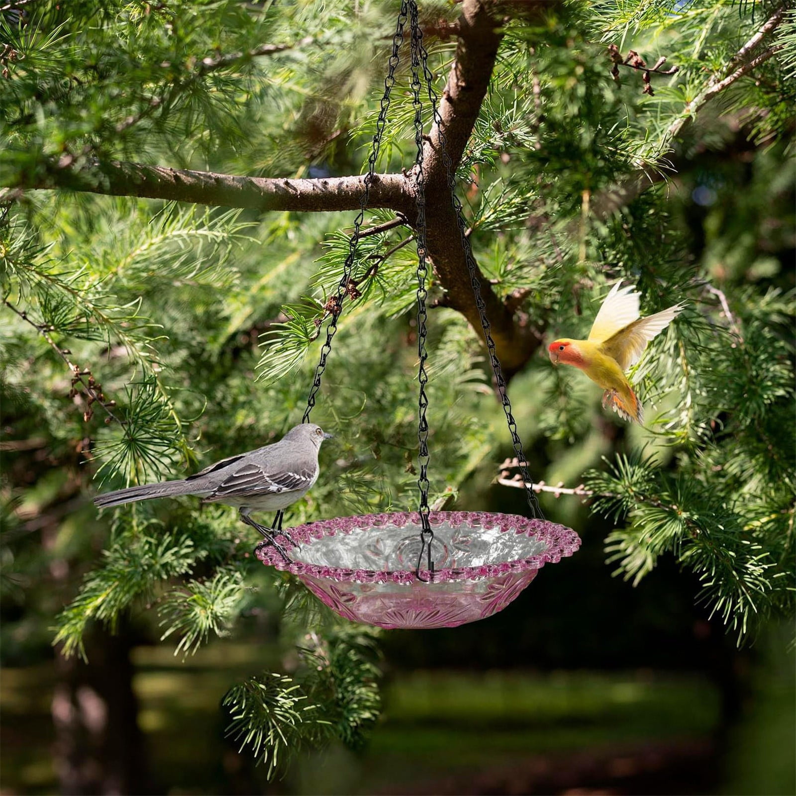 JWDX Bird Feeders for Outdoors Clearance! Hanging Bird Bath Plastic Bird Bath Plate Hanging Tray for Outdoors Hanging Bird Water or Bird Seed Hanging Bird Feeder for Outdoors Bird Bath Bowl S4-Purple - Image 5
