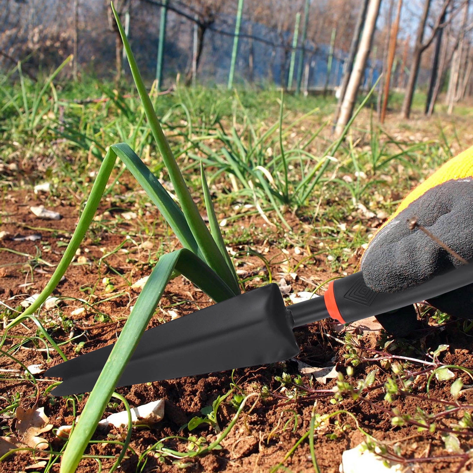 Worgeous Handy Weeder Puller with Stainless Steel Forked Tip for Gardening Ergonomic Wood Handle with Hole Black 2 Pronged - Image 3