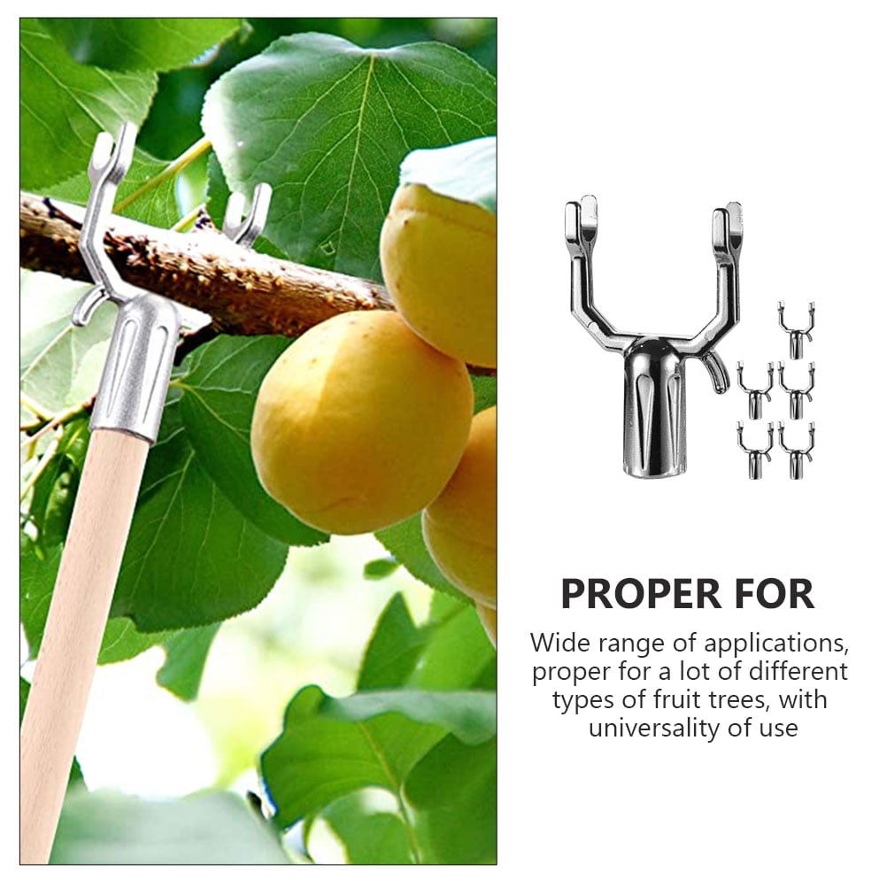 Worgeous 6 Pcs Fruit Tree Support Fork Branches Ties Plant Stakes Braces - Image 6